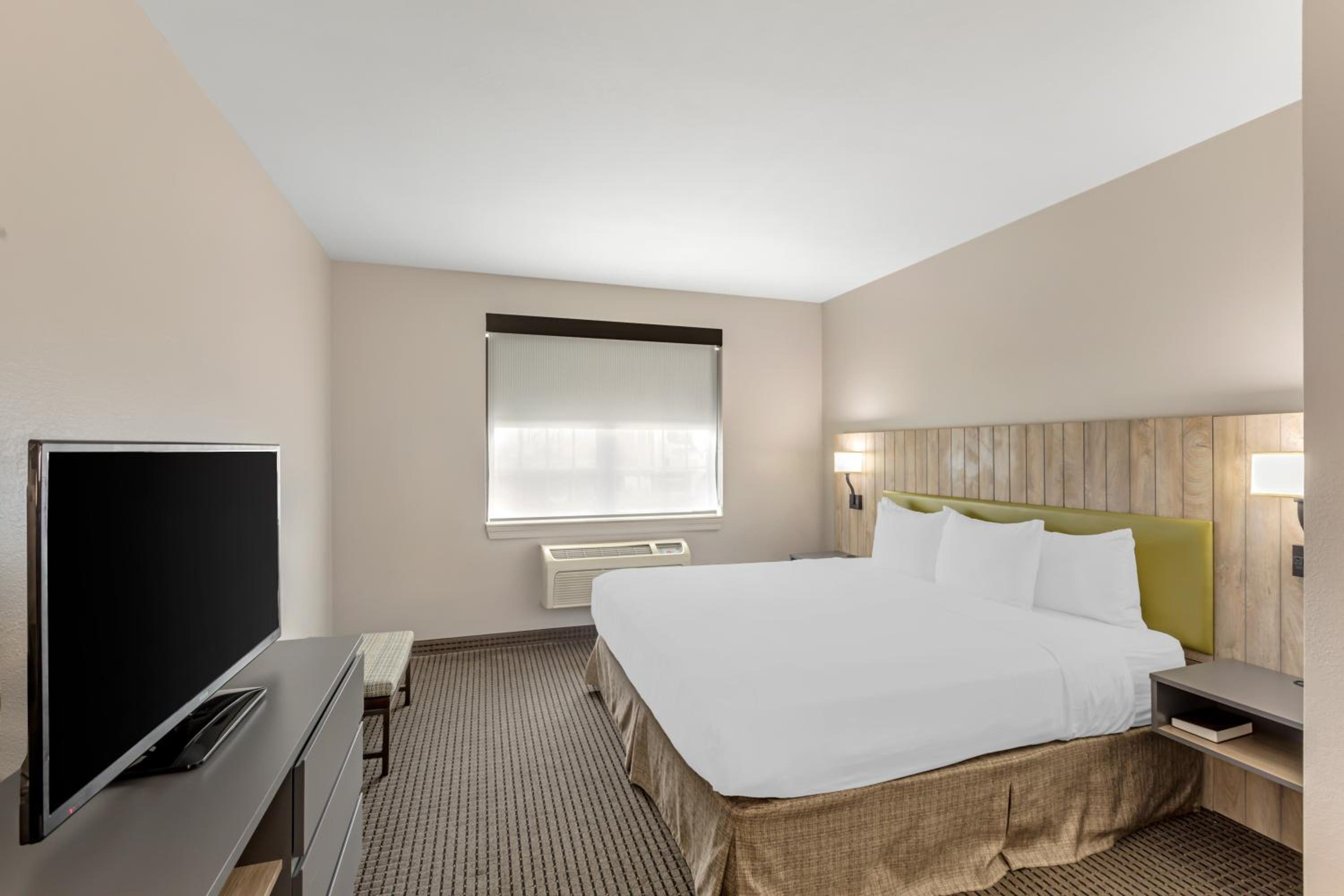 King Studio Suite - Photo 1