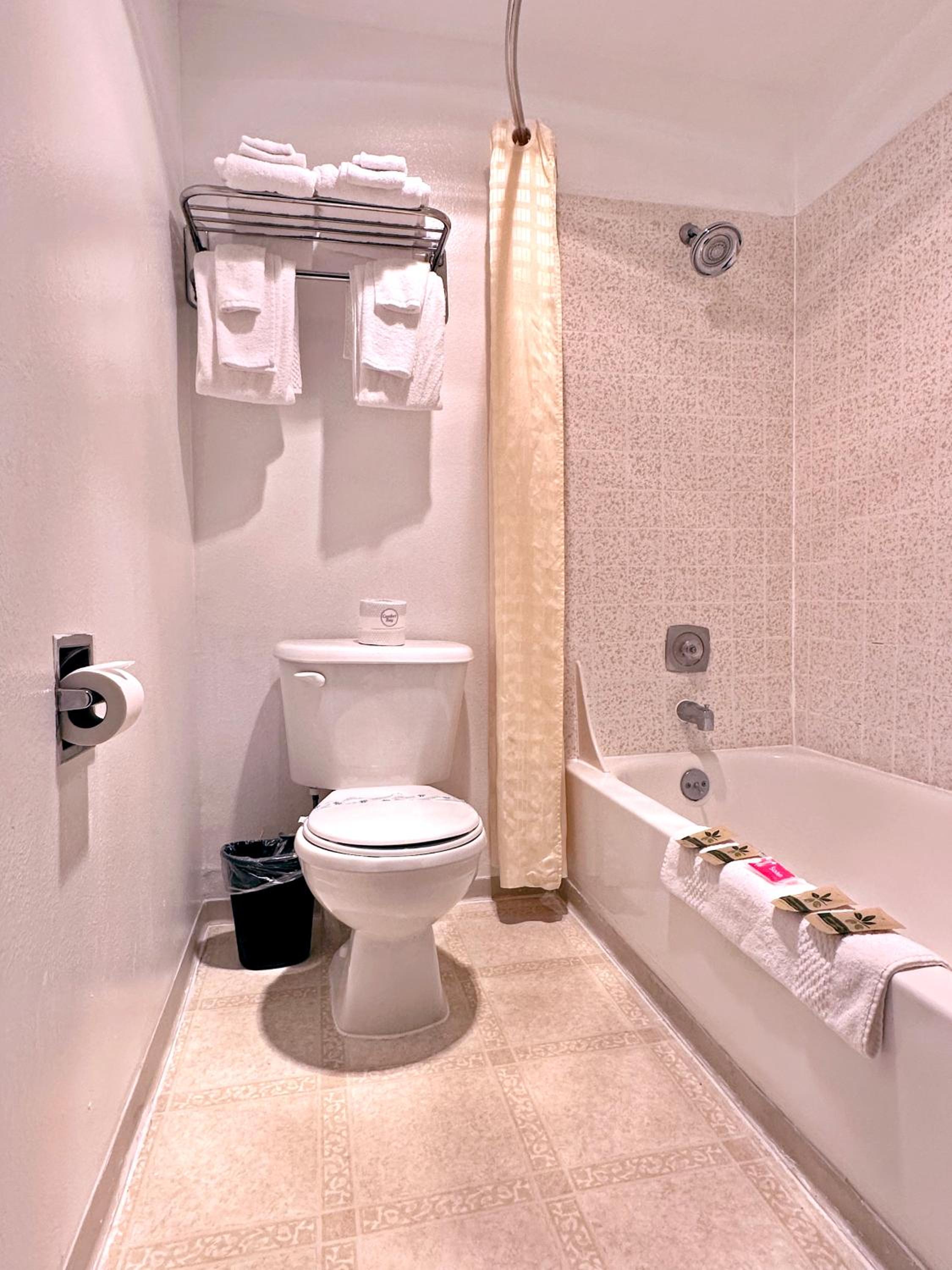 Standard Queen Room photo 2
