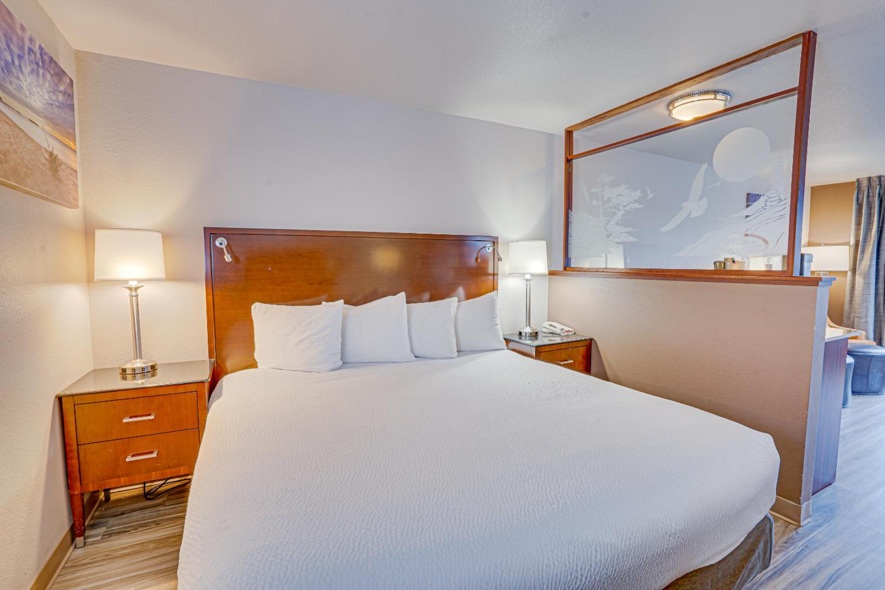 King Suite - Photo 9
