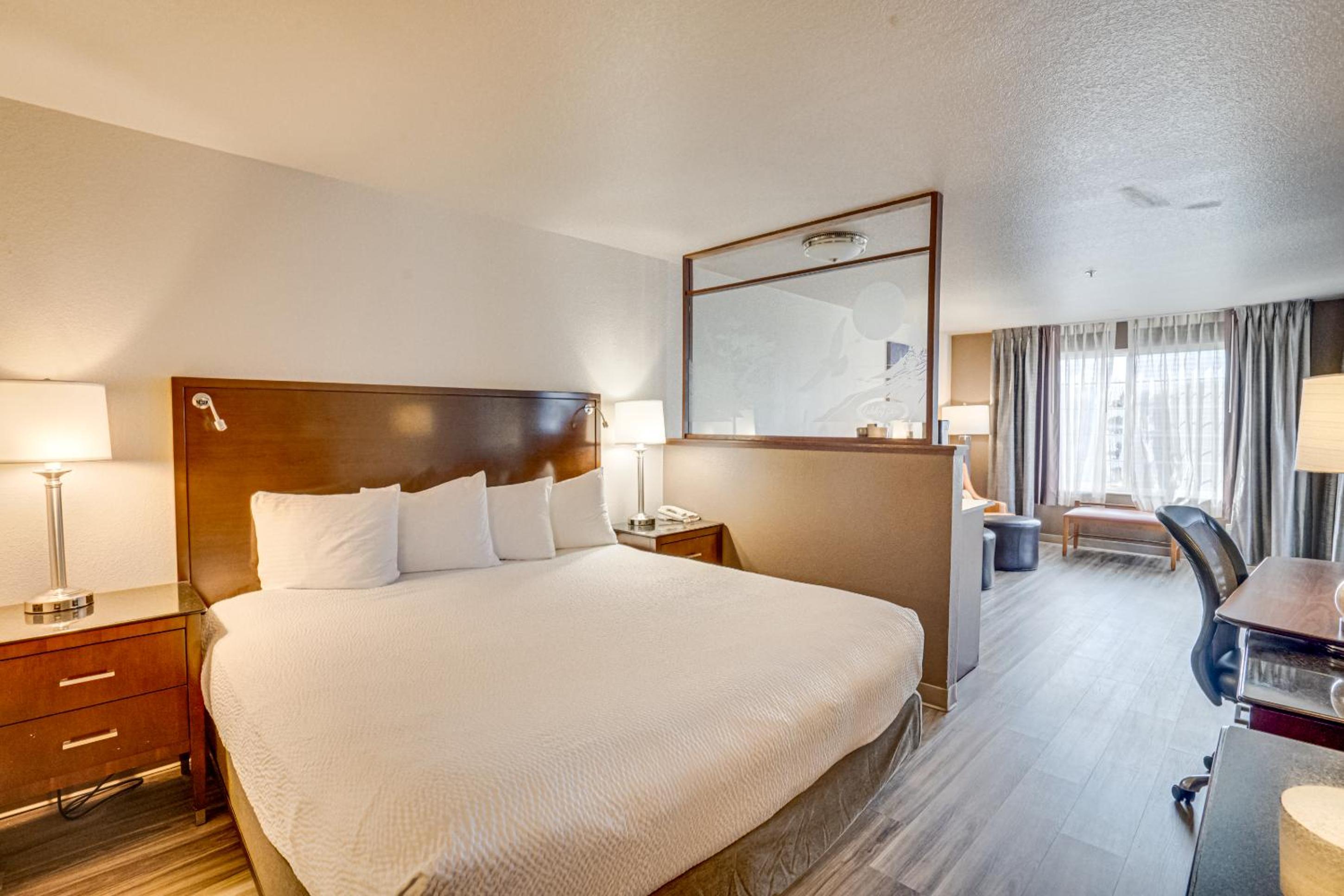 King Suite - Photo 10
