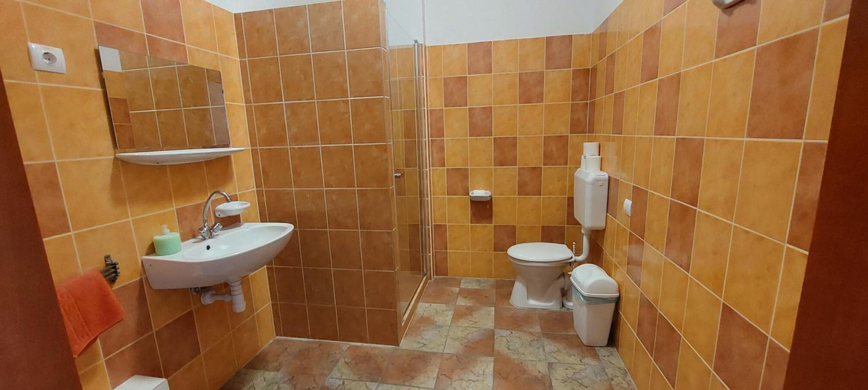 Family Room with Bathroom photo 3