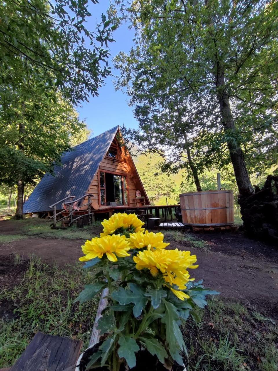 One-Bedroom Chalet photo 3