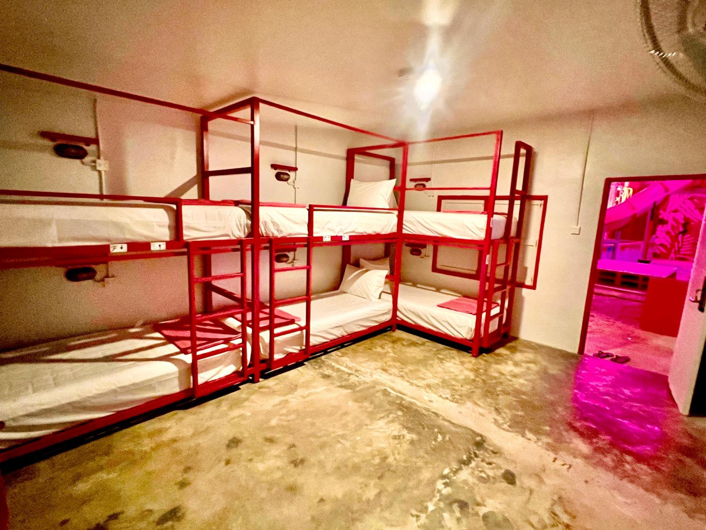 Bed in 6-Bed Mixed Dormitory Room photo 1