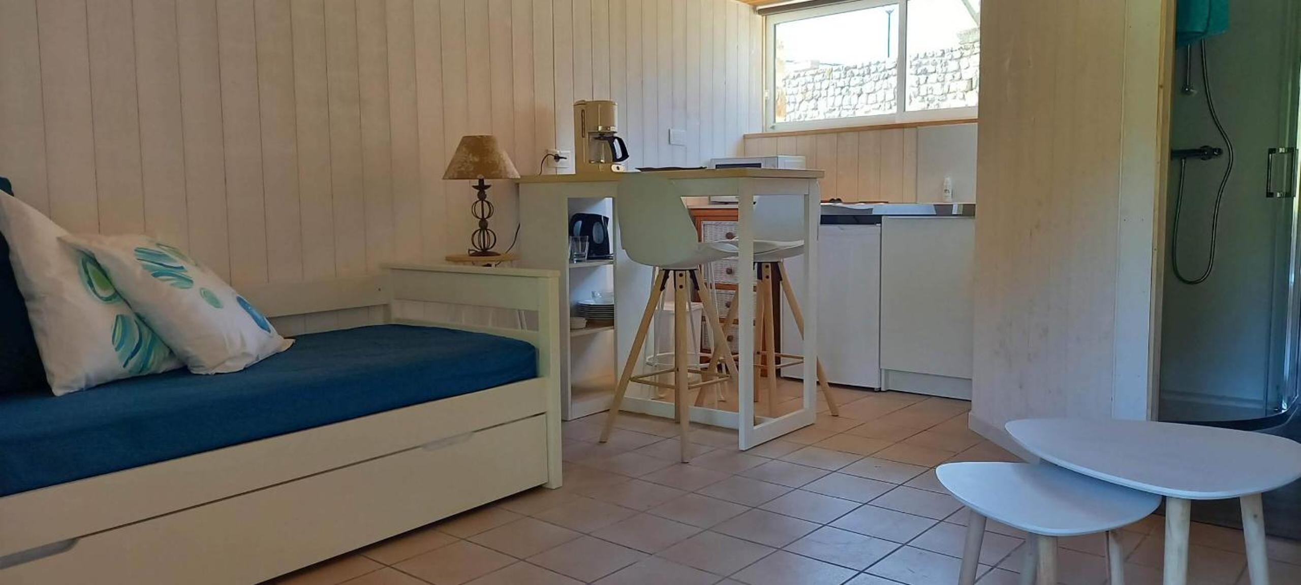 Studio with Terrace photo 2