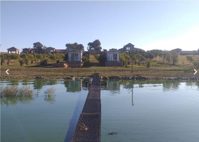 Studio with Lake View photo 1