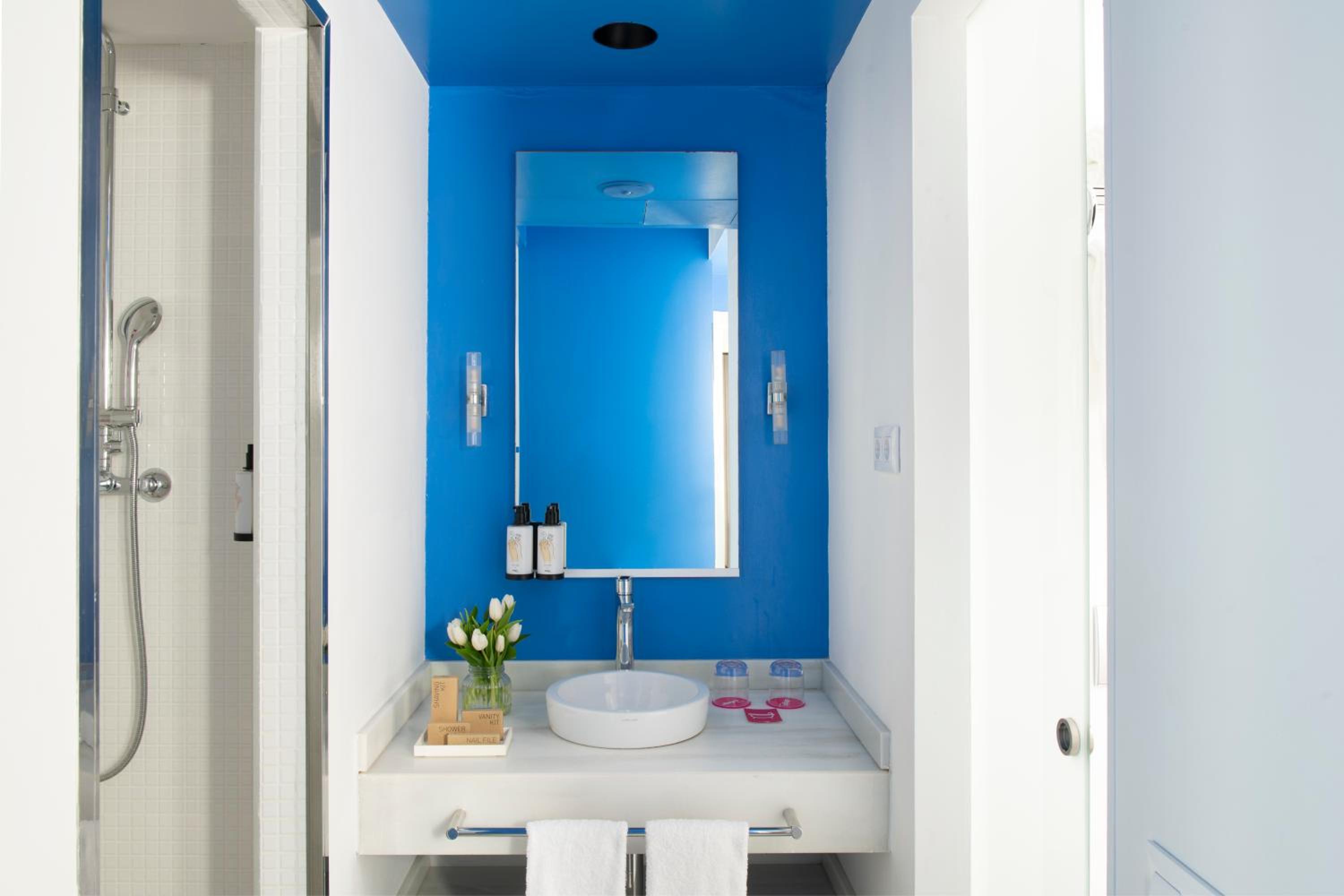 Deluxe Double or Twin Room photo 3