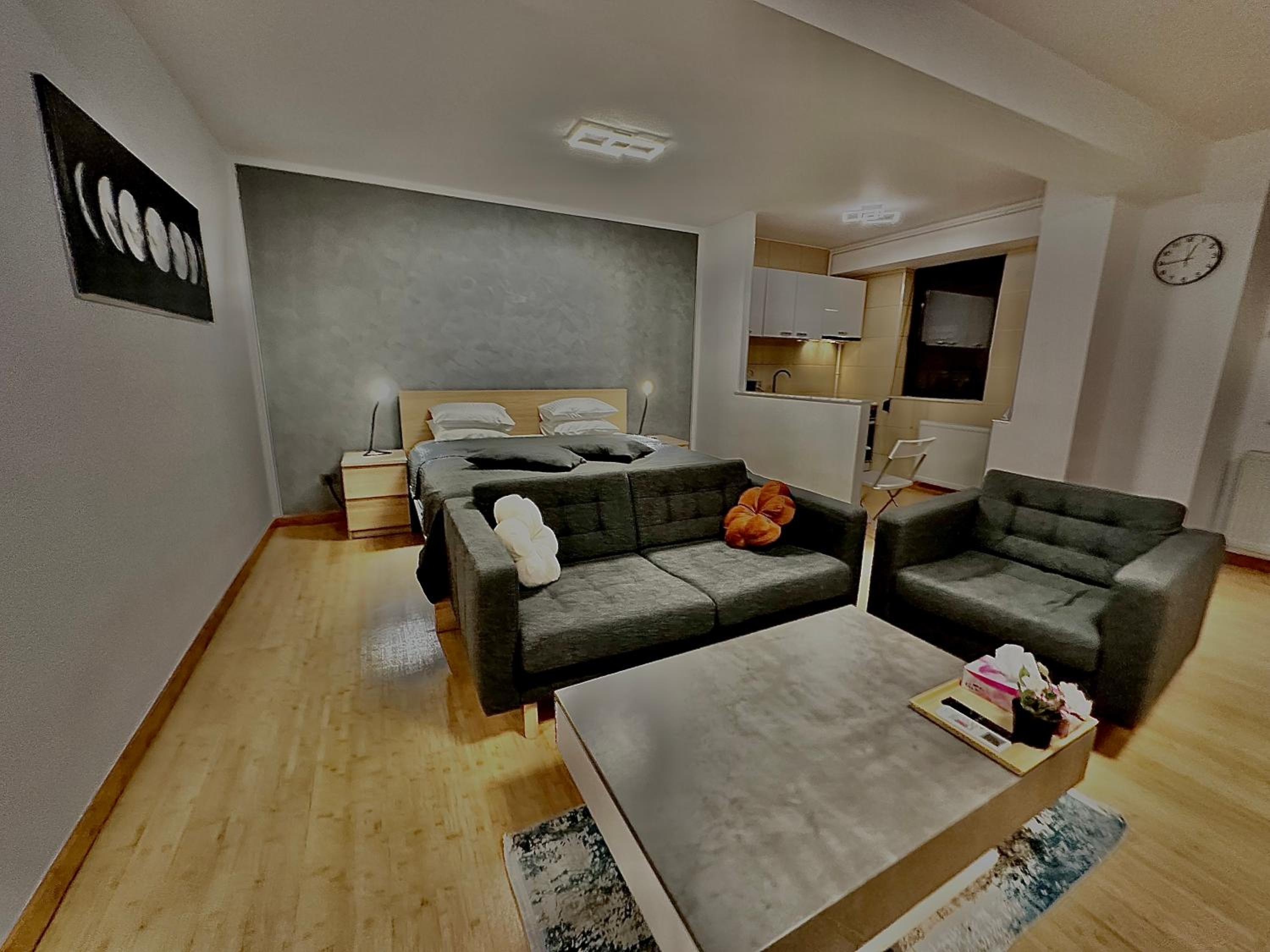 Superior Apartment