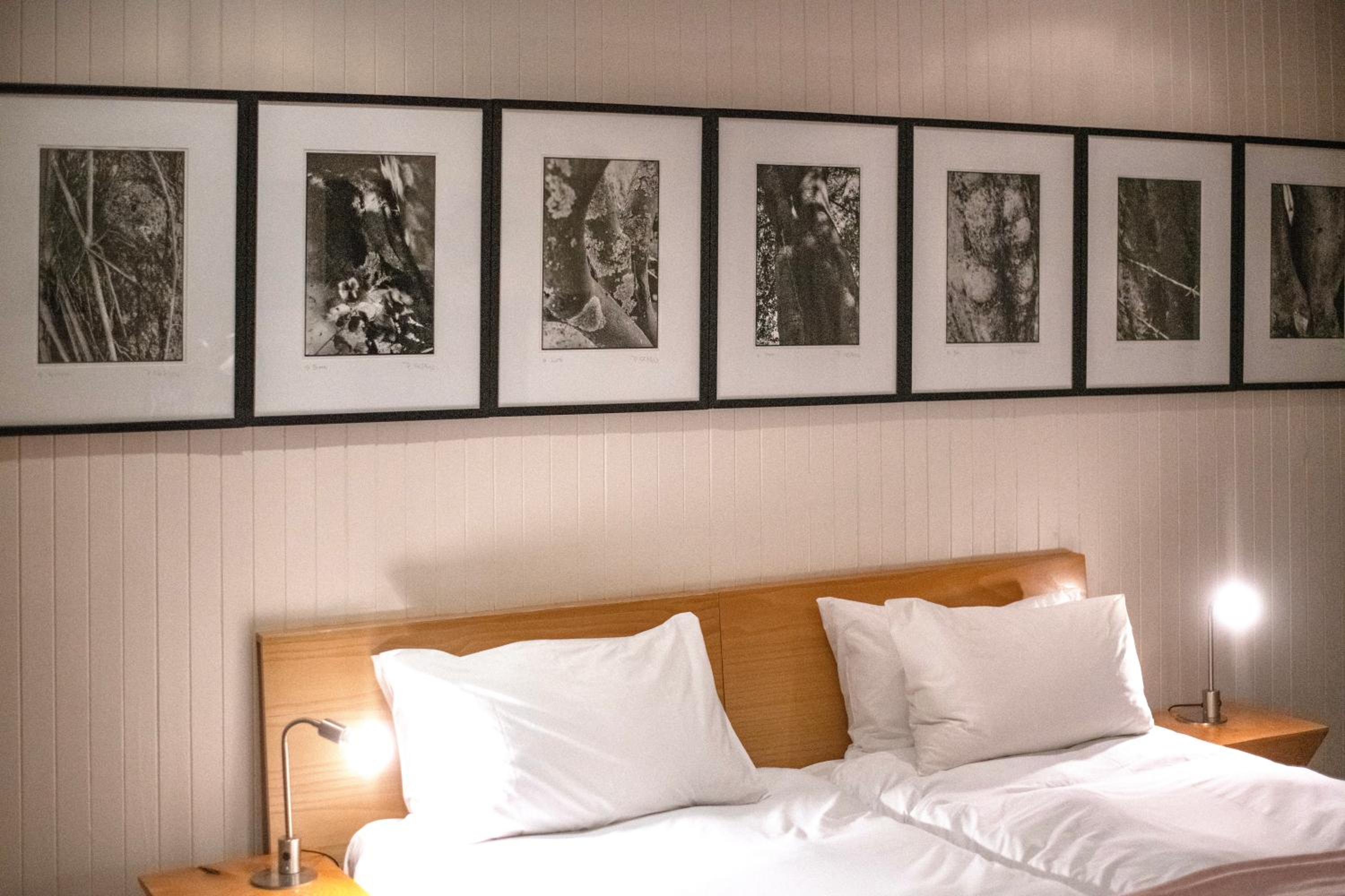  Double Room - Photo 3