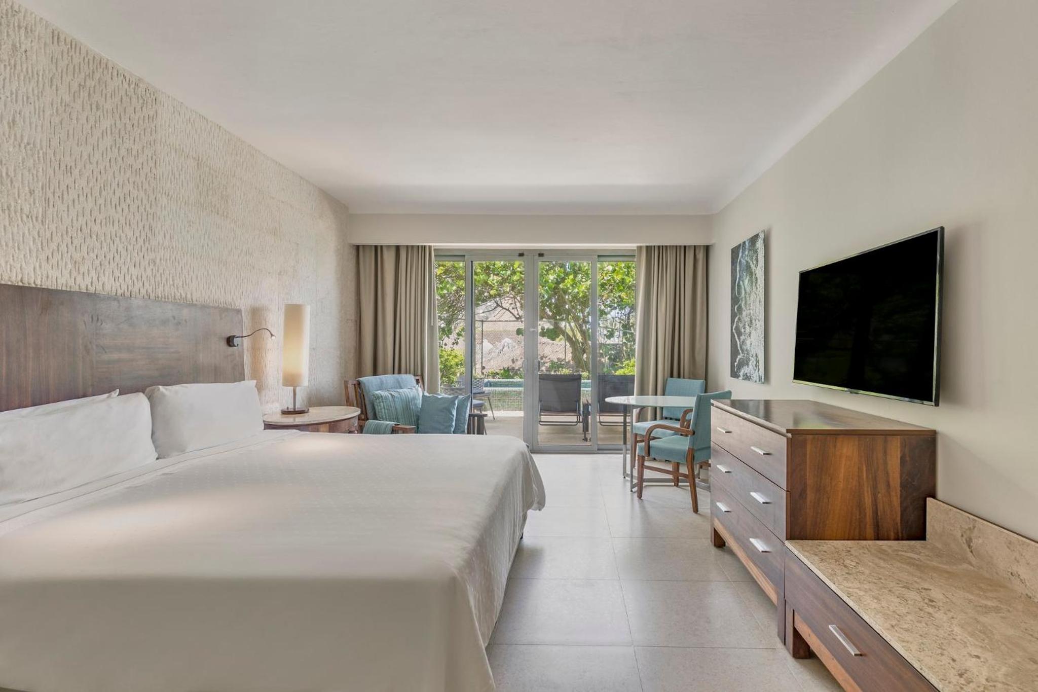 Premium Room with Plunge Pool 1 King - Photo 1