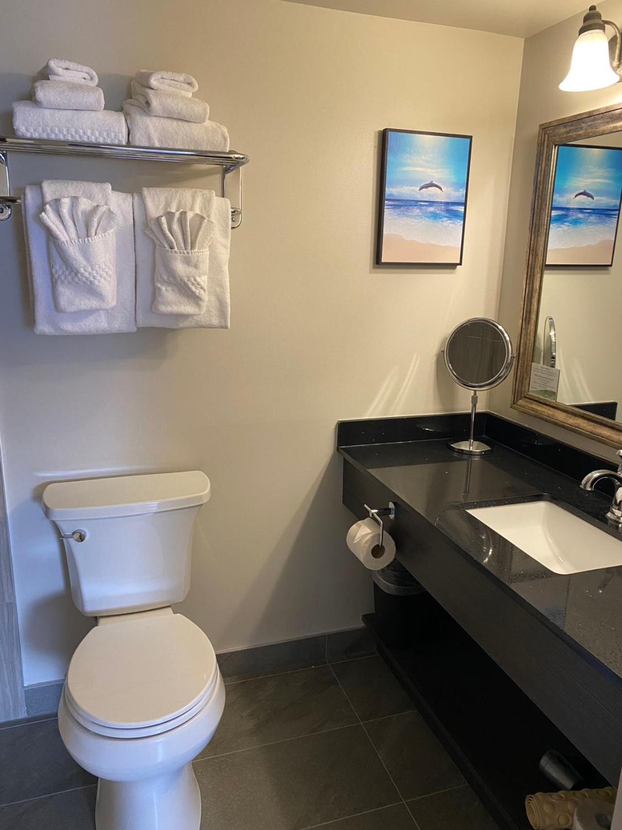 Deluxe King Suite - Not Pet Friendly photo 3