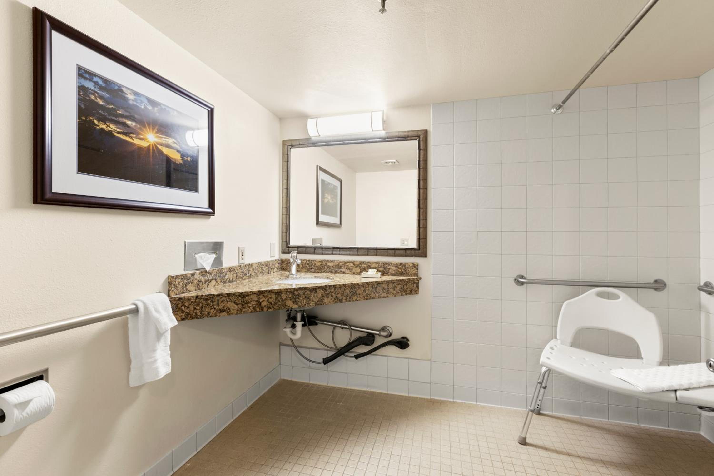 King Room with Roll In Shower-Disability Access - Photo 6