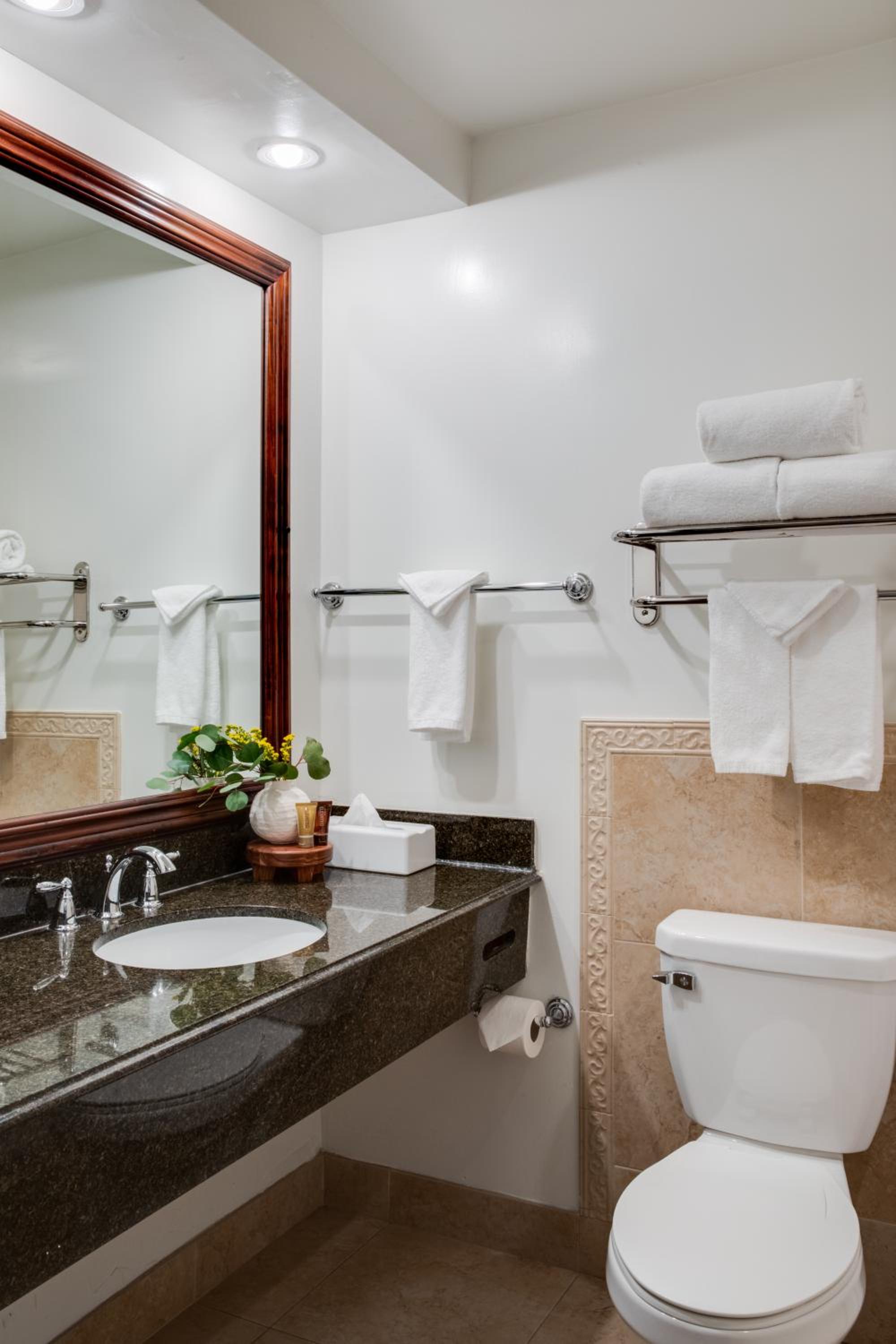 One-Bedroom King Suite - Photo 6