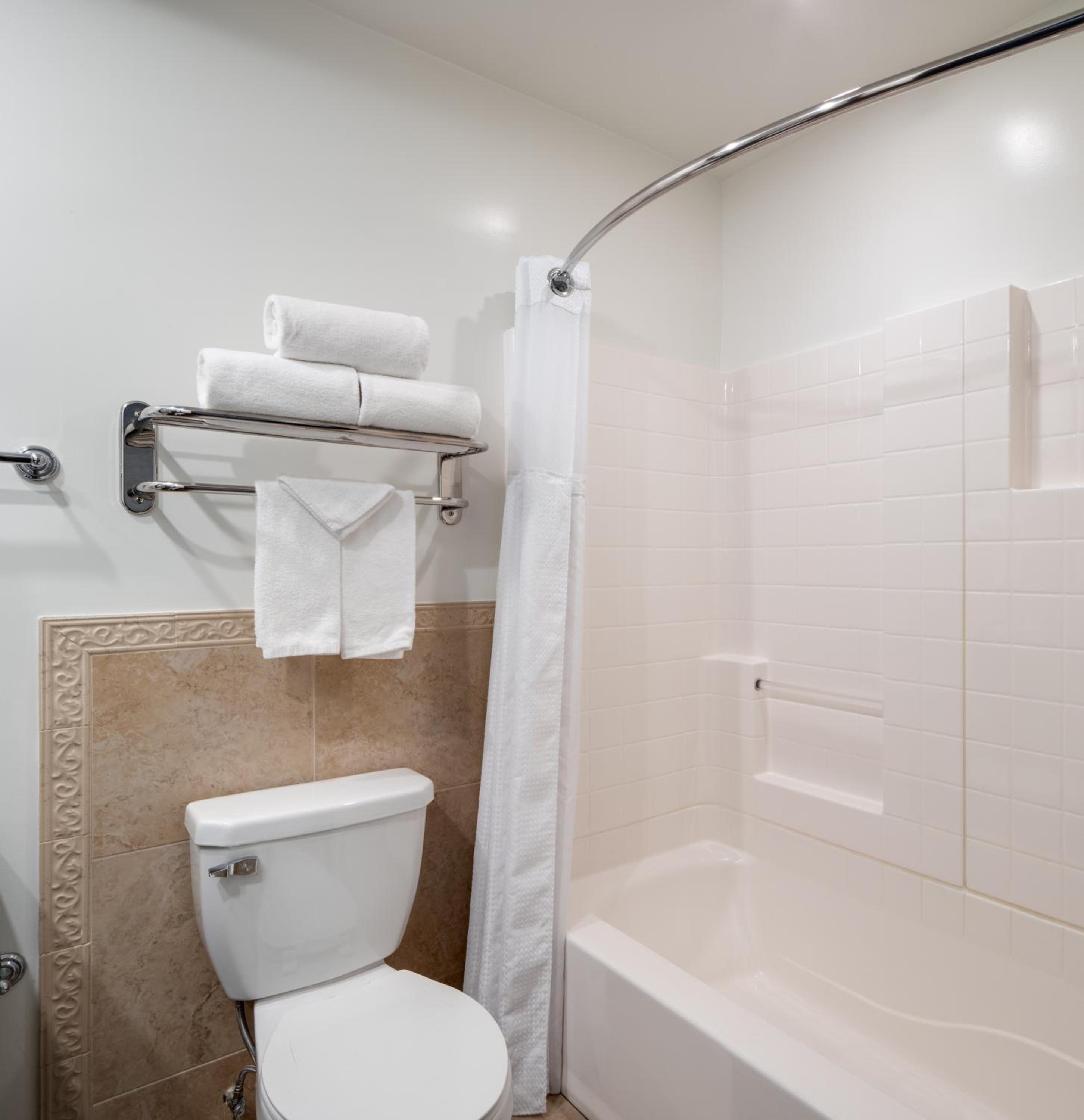 One-Bedroom King Suite - Photo 5