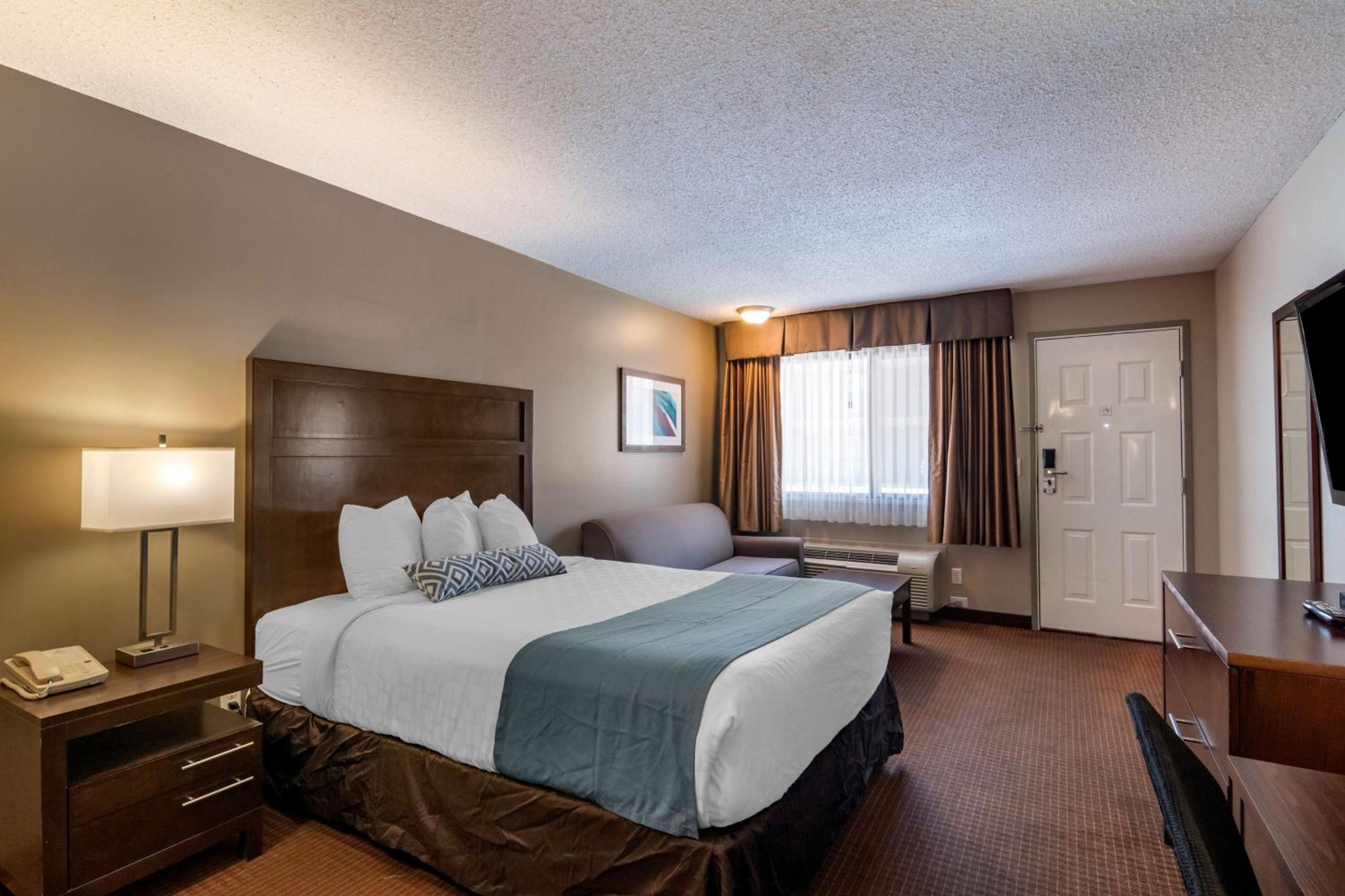 Standard King Room