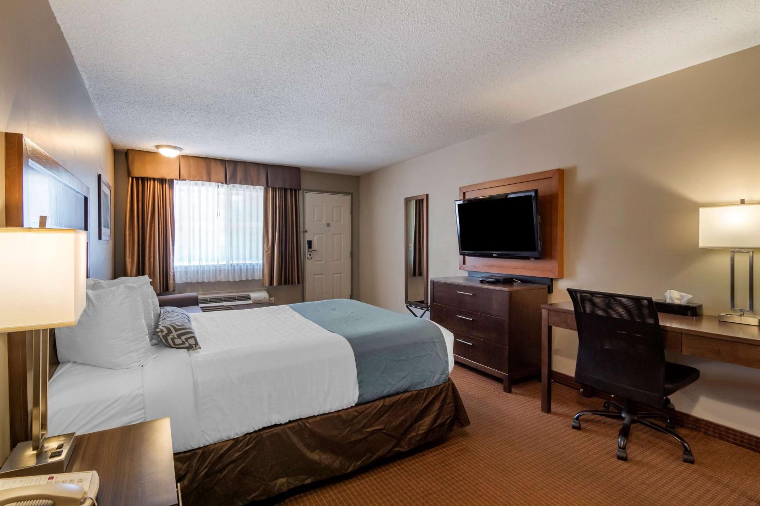 Queen Room - Disability Access photo 2