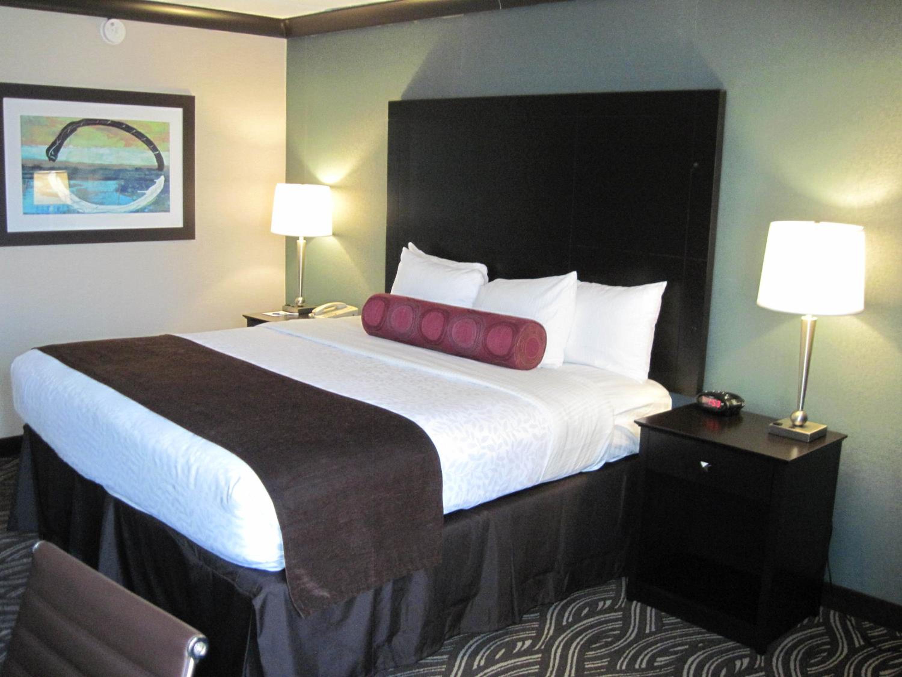 King Room - Non-Smoking - Photo 4