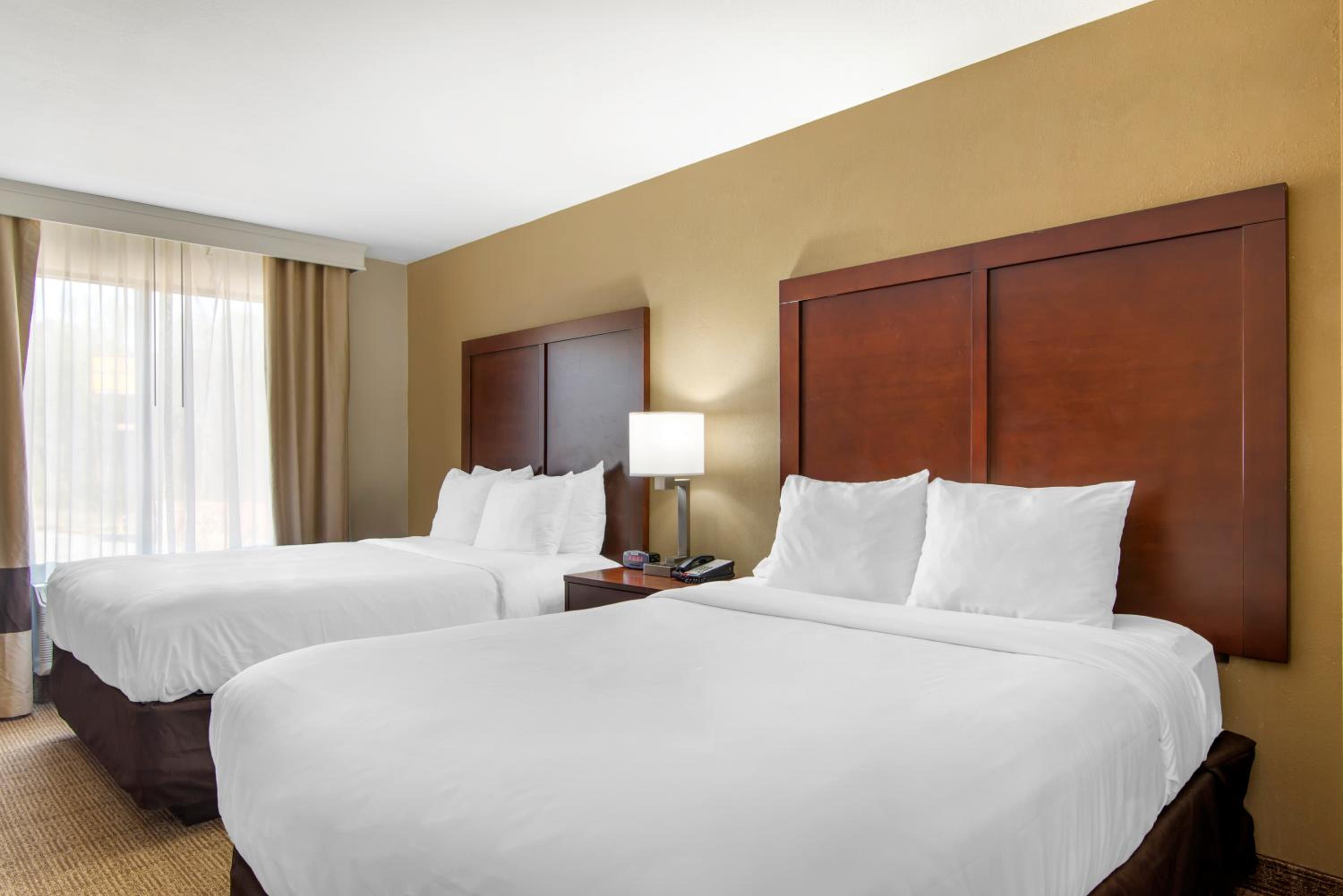 Queen Suite with Two Queen Beds - Non-Smoking - Photo 3
