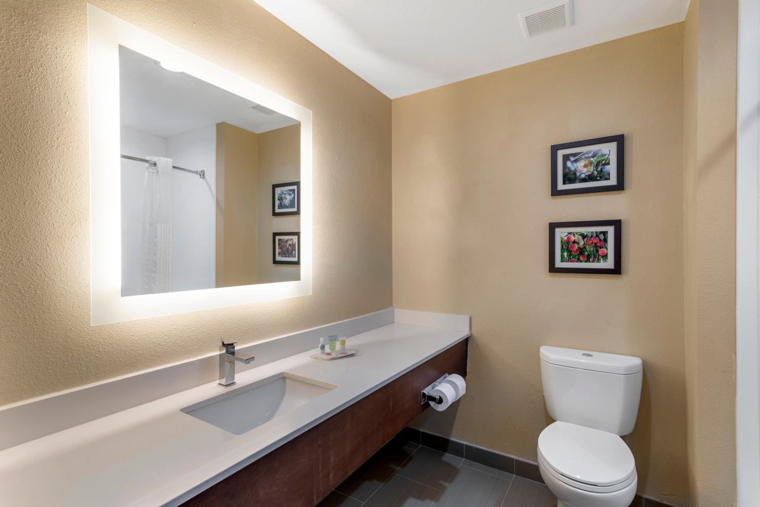 King Suite - Disability Access/Non-Smoking - Photo 3
