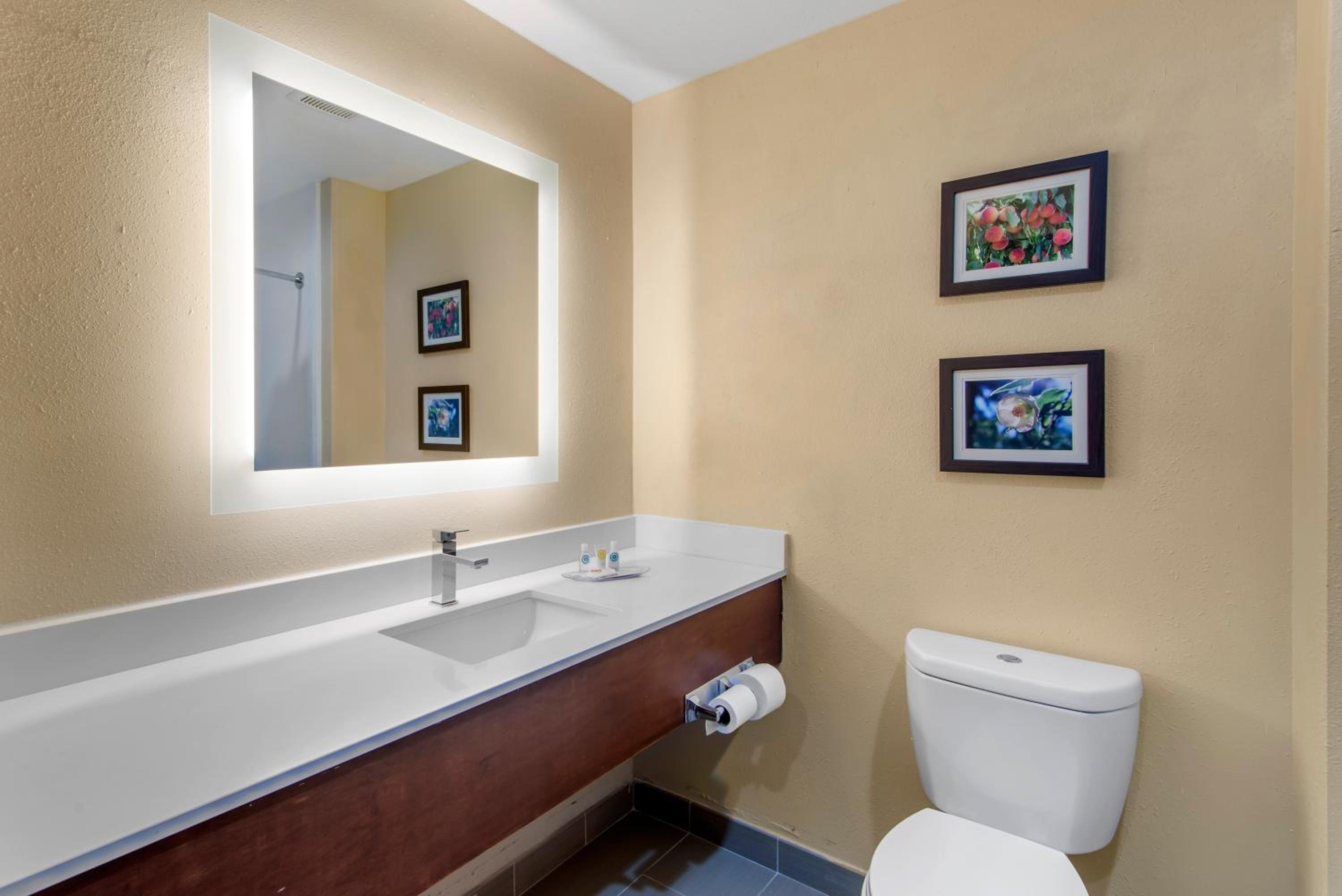 King Suite - Non-Smoking - Photo 5
