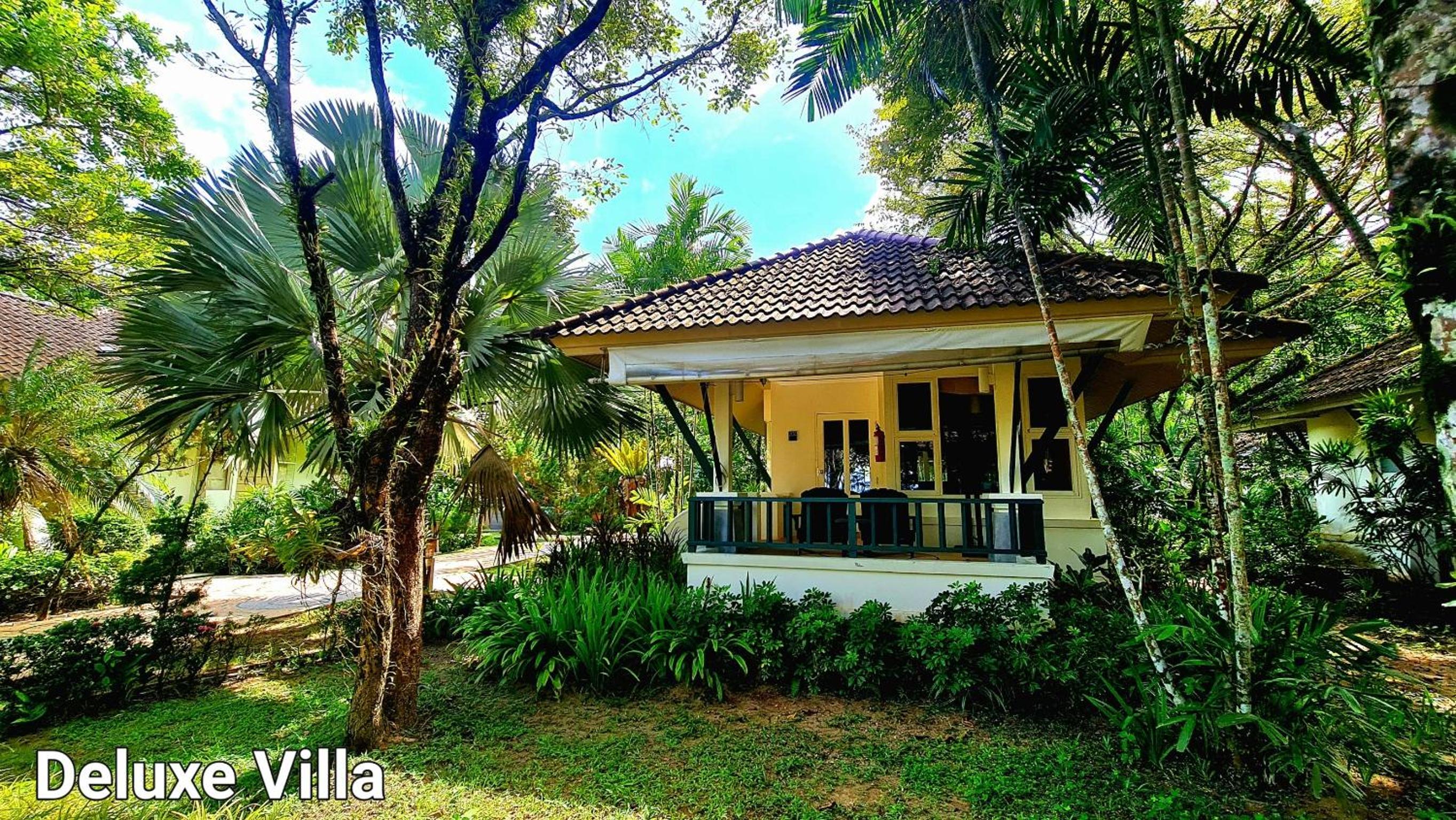 Deluxe Villa photo 3