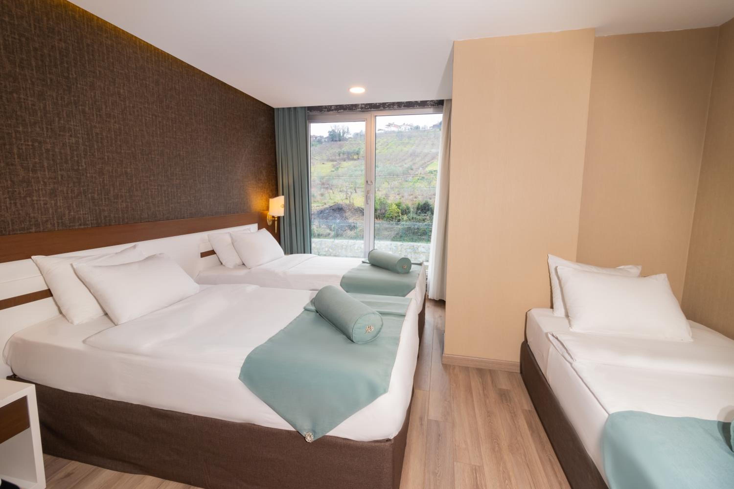 Triple Room with Mountain View photo 1