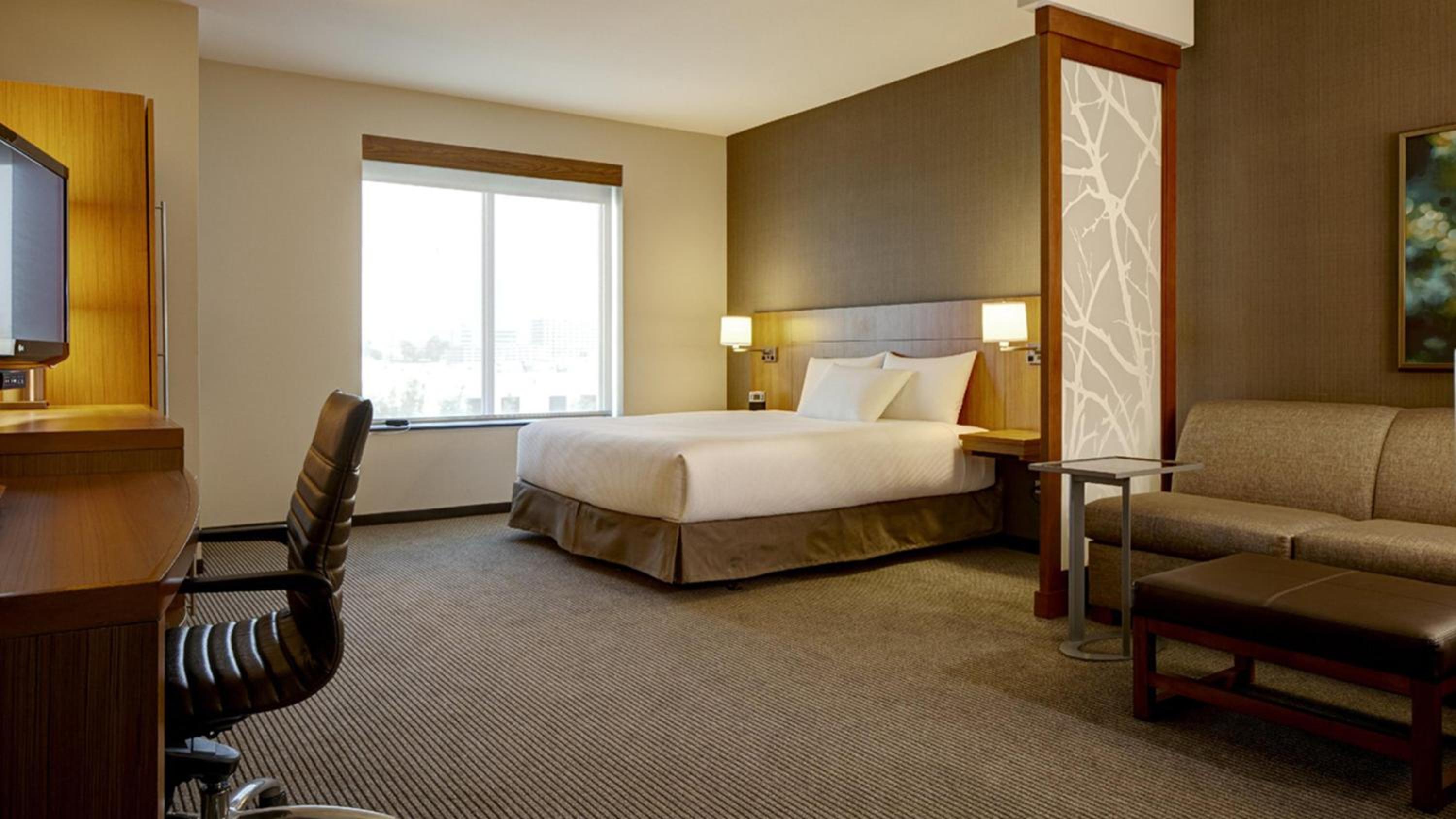 Specialty King Room with Sofa Bed photo 2