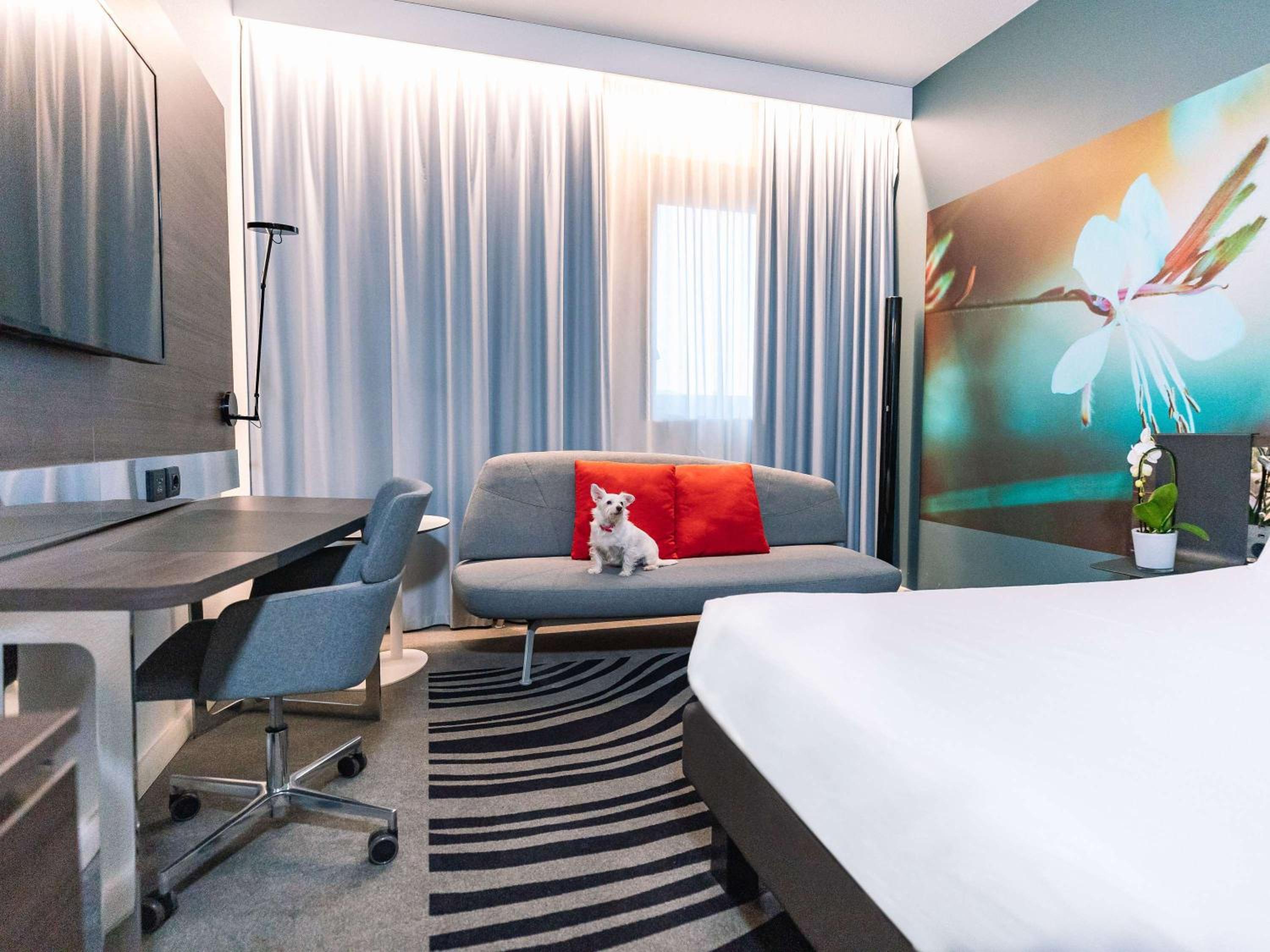 Superior Room photo 1