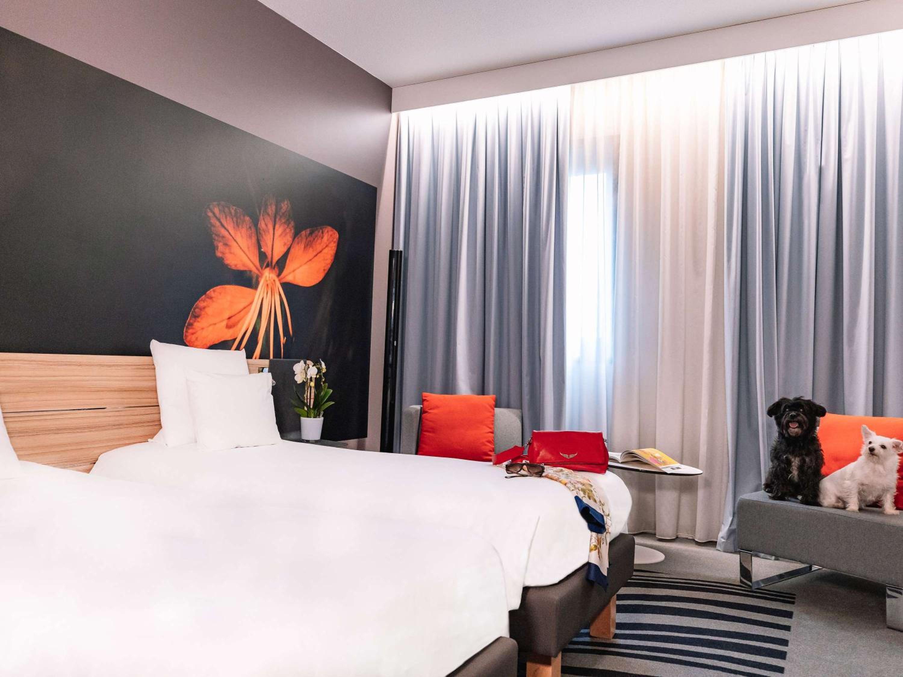 Superior Twin Room photo 1