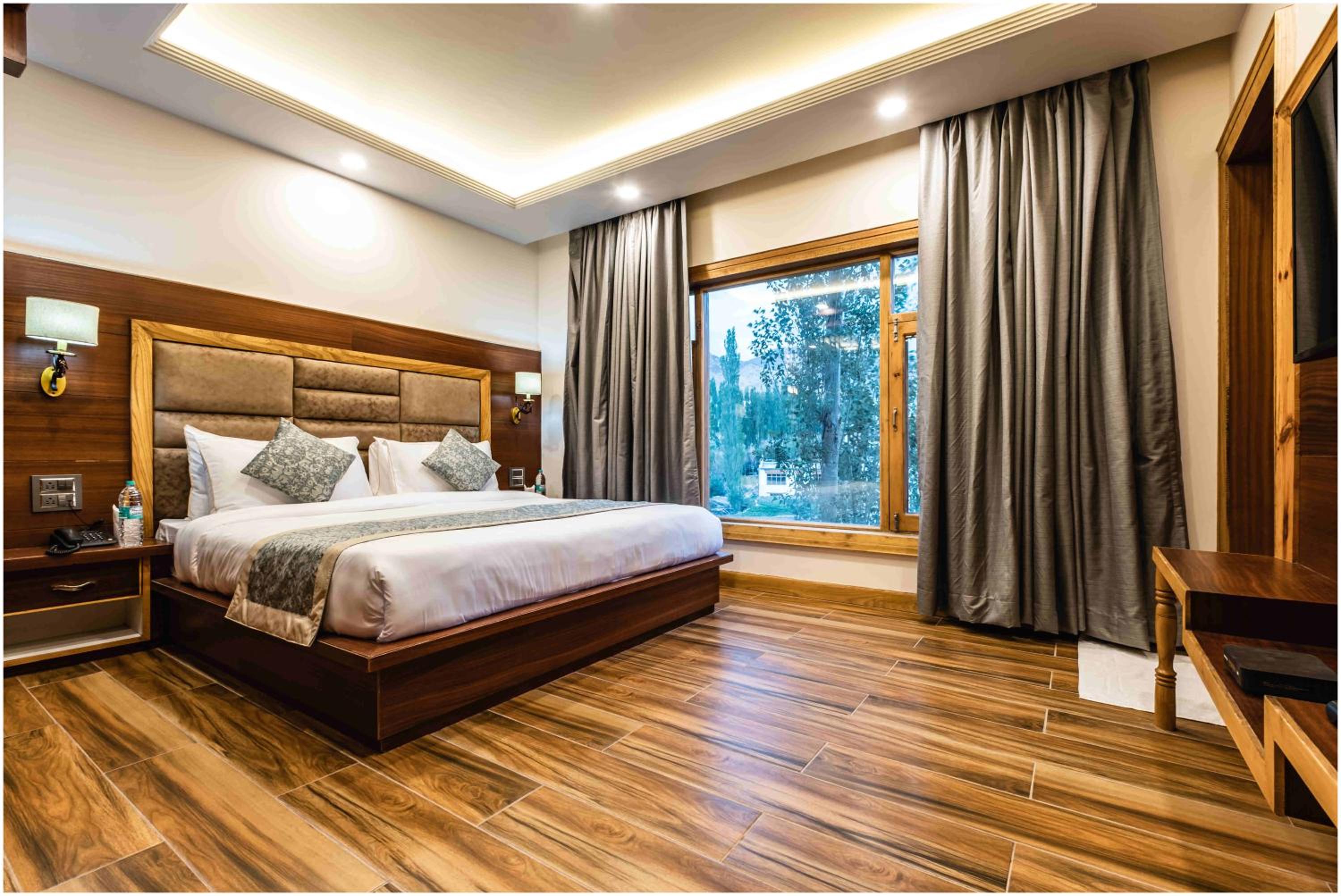 Suite - Photo 1
