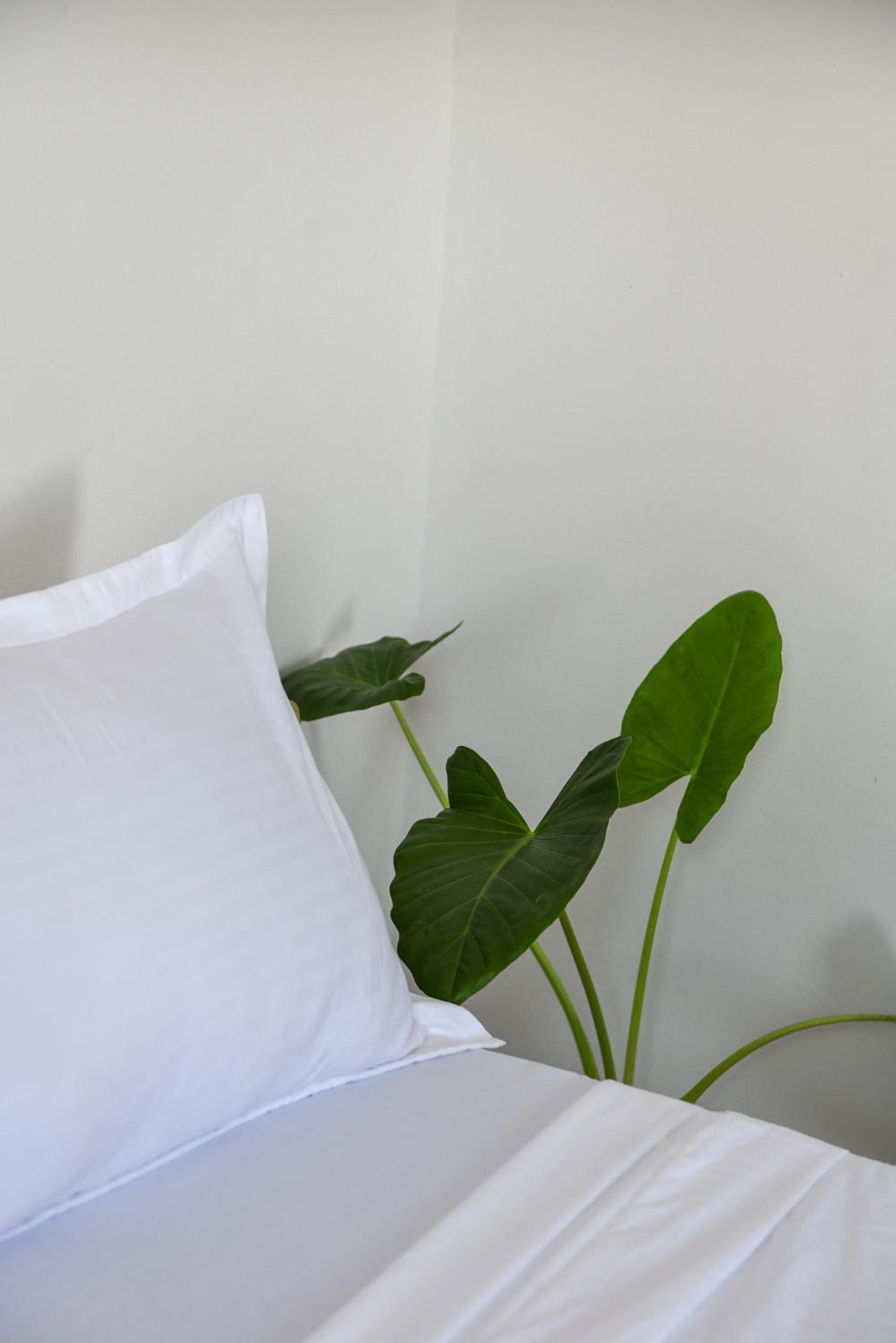 Double Room with Private Bathroom - Photo 9