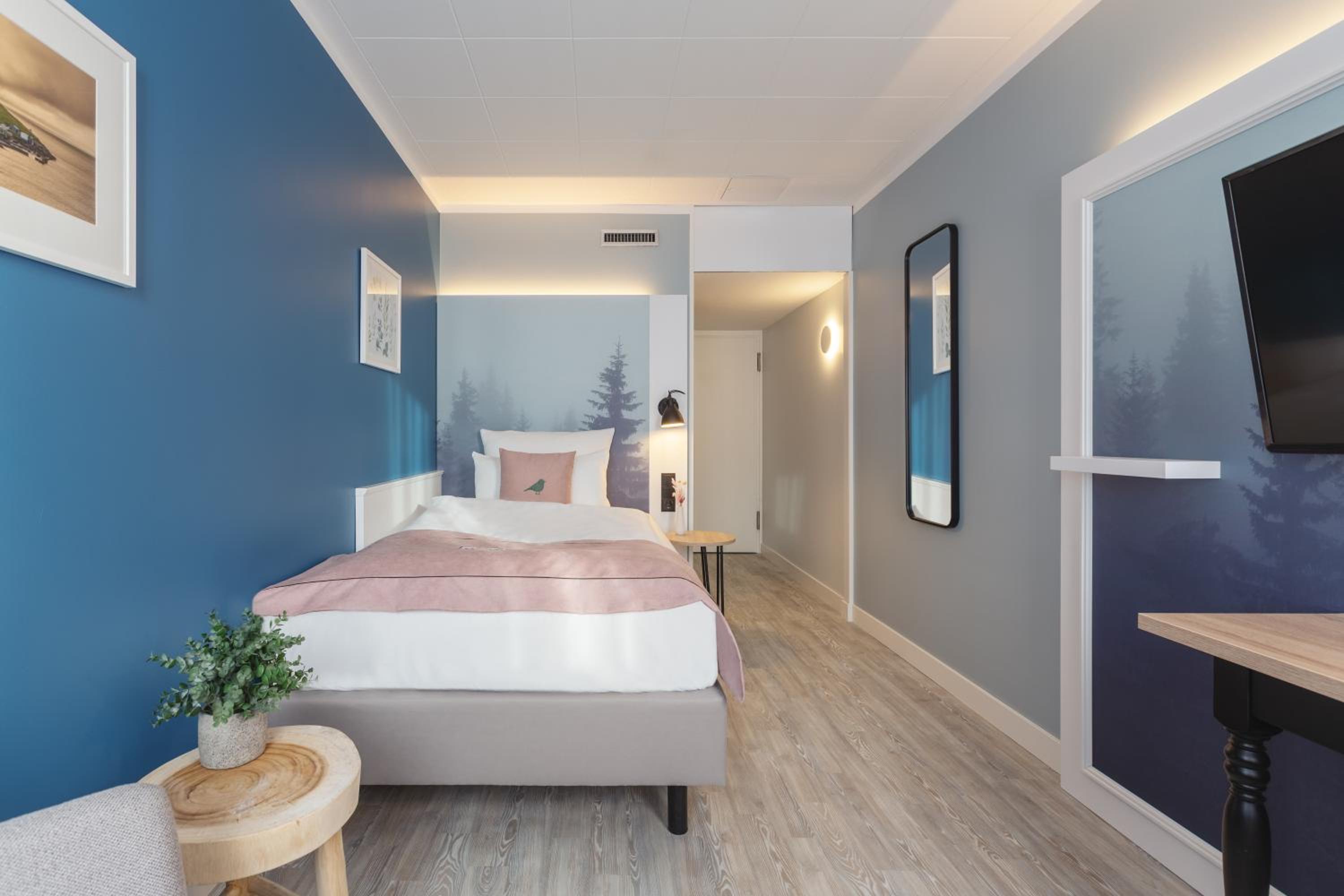Economy Single Room