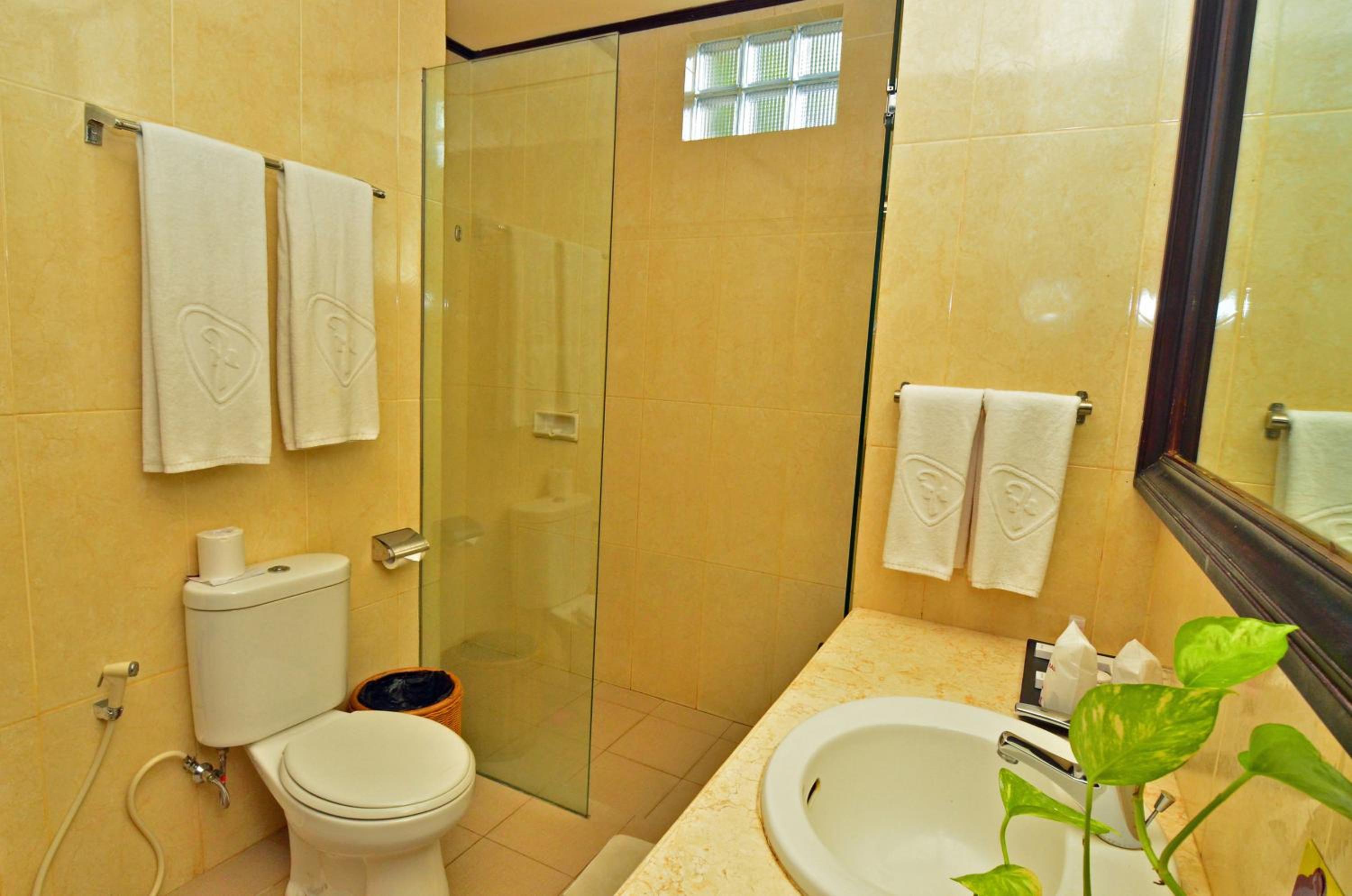 Deluxe Double or Twin Room - Photo 4