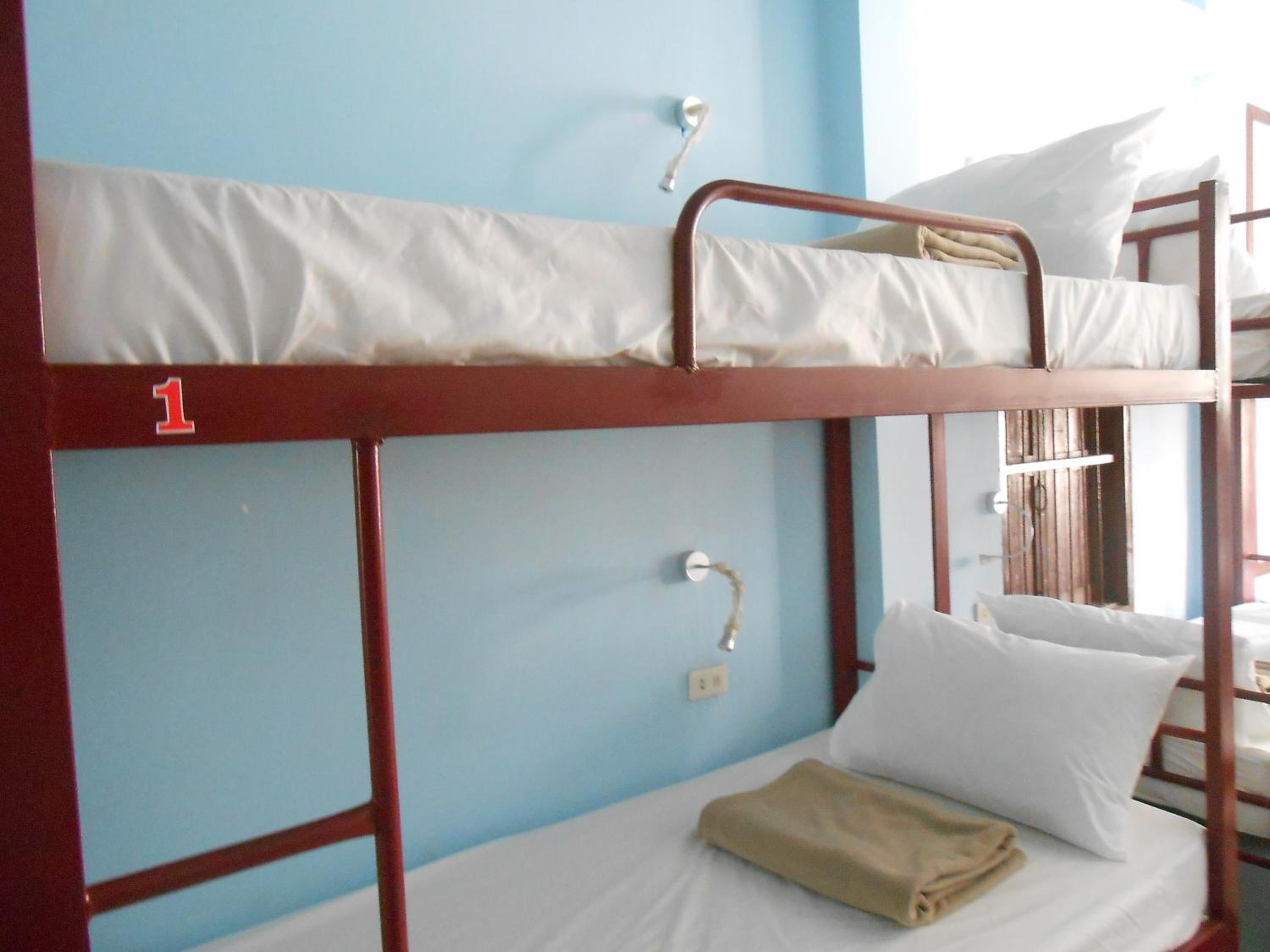 Bunk Bed in Mixed Dormitory Room photo 3