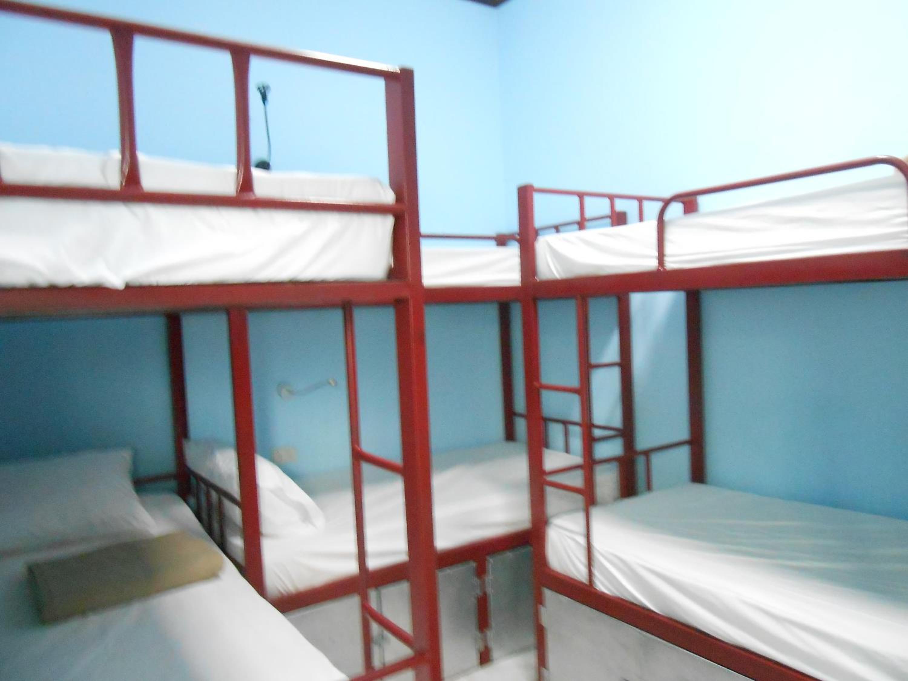 Bunk Bed in Mixed Dormitory Room photo 1