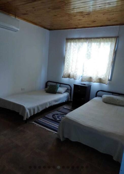 One-Bedroom House photo 1