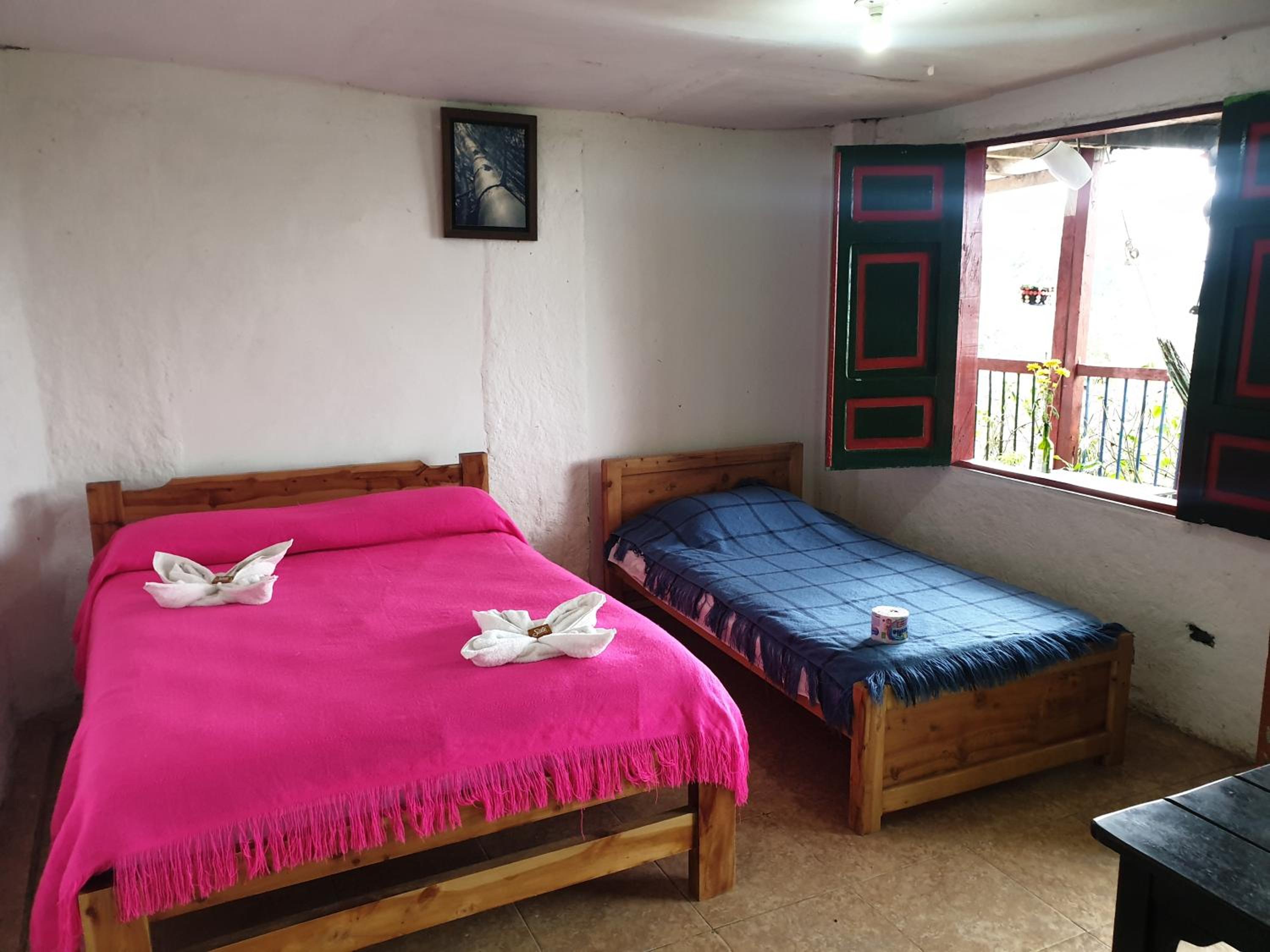 Triple Room photo 3