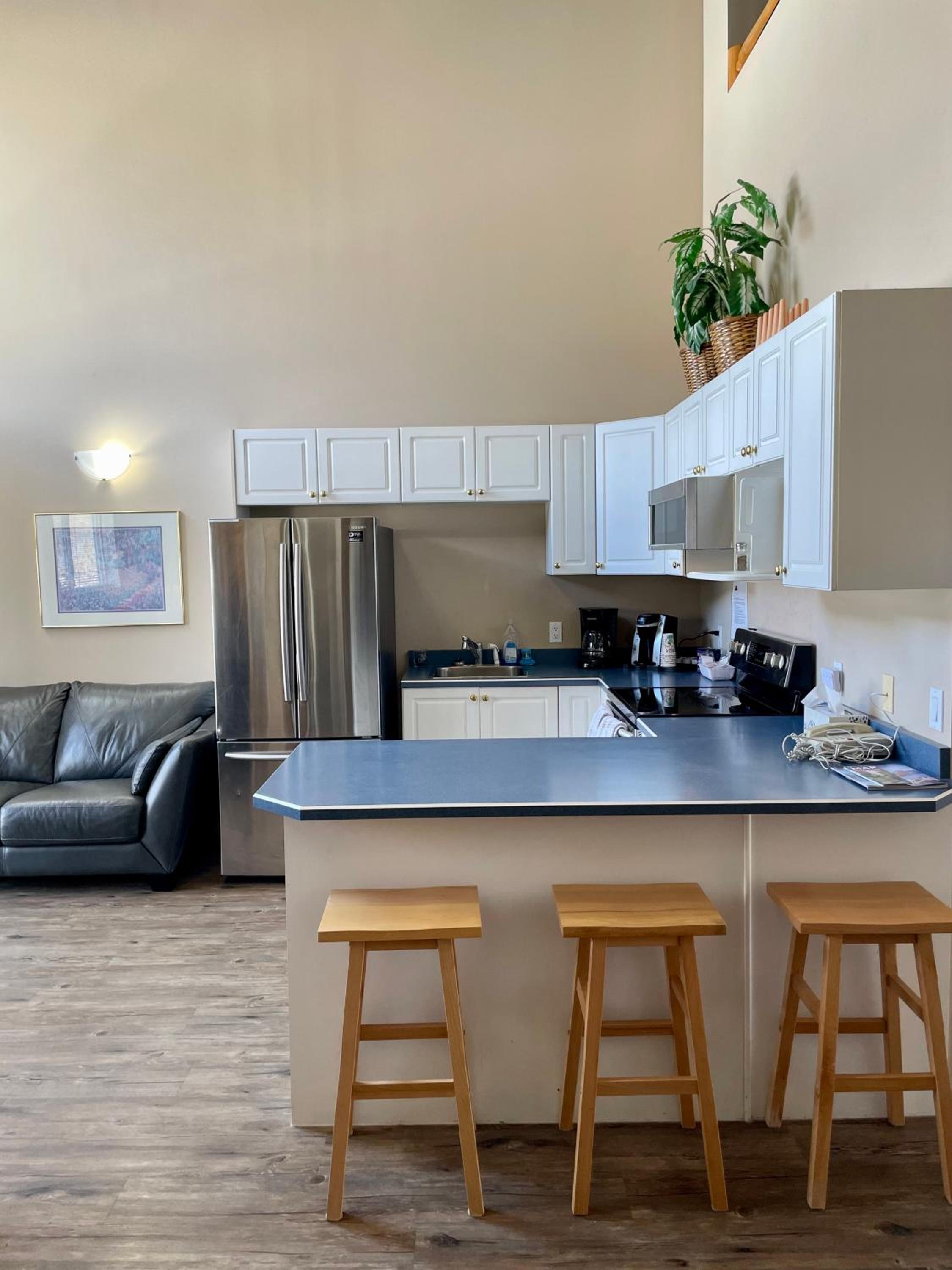 Three-Bedroom Condo - No Pets Allowed  photo 3