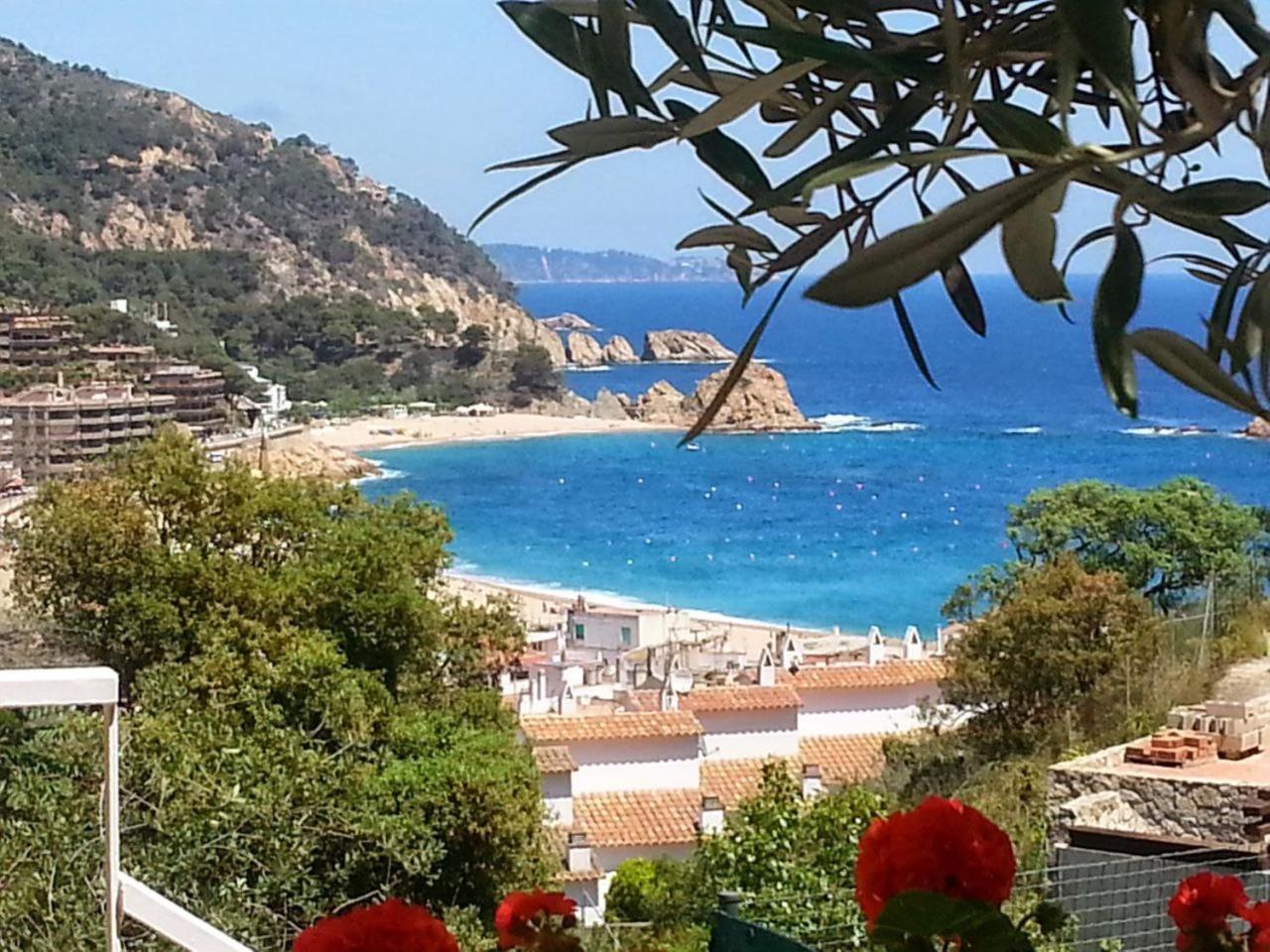 Villa - Photo 41