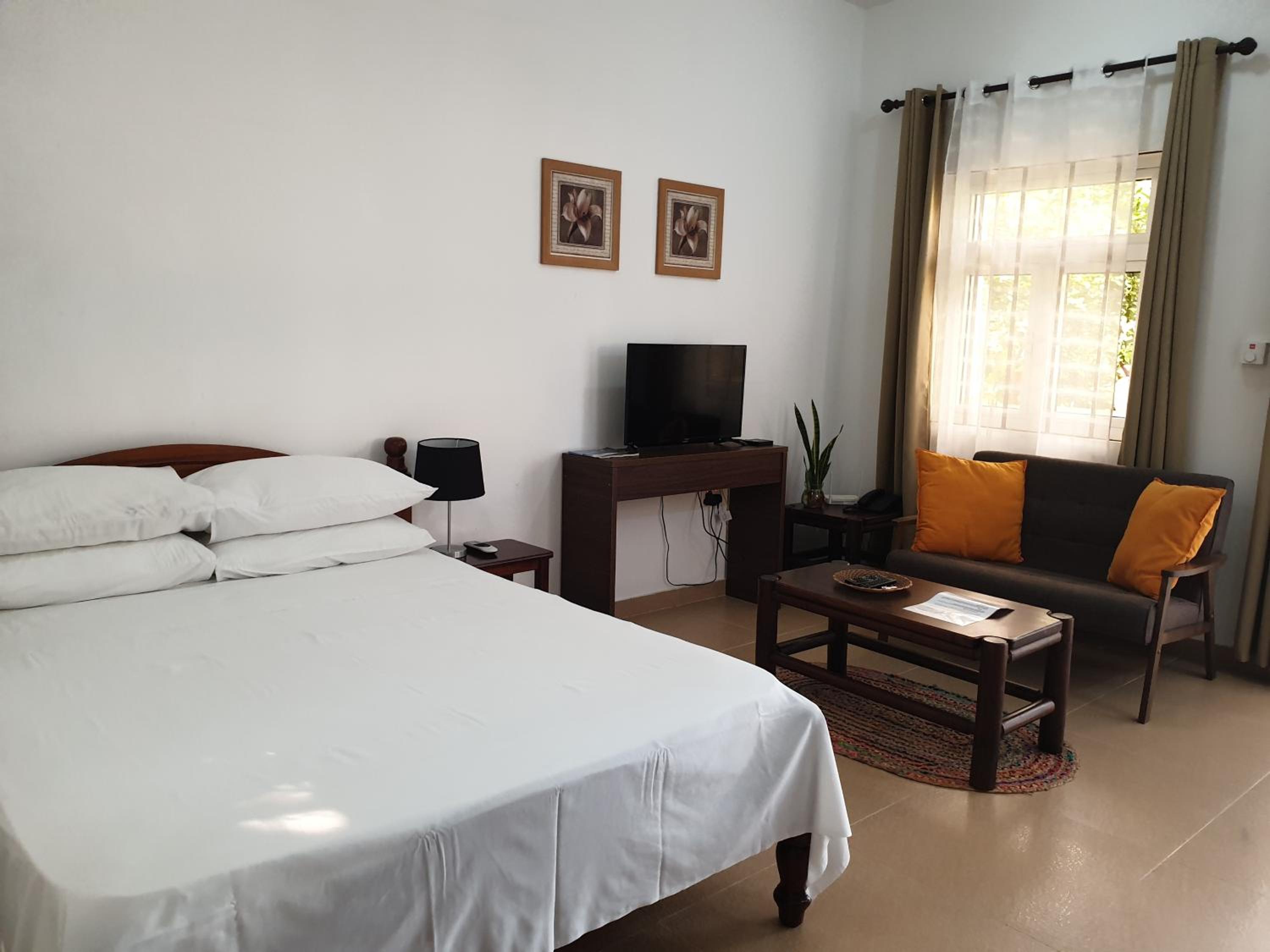 Studio with Garden View