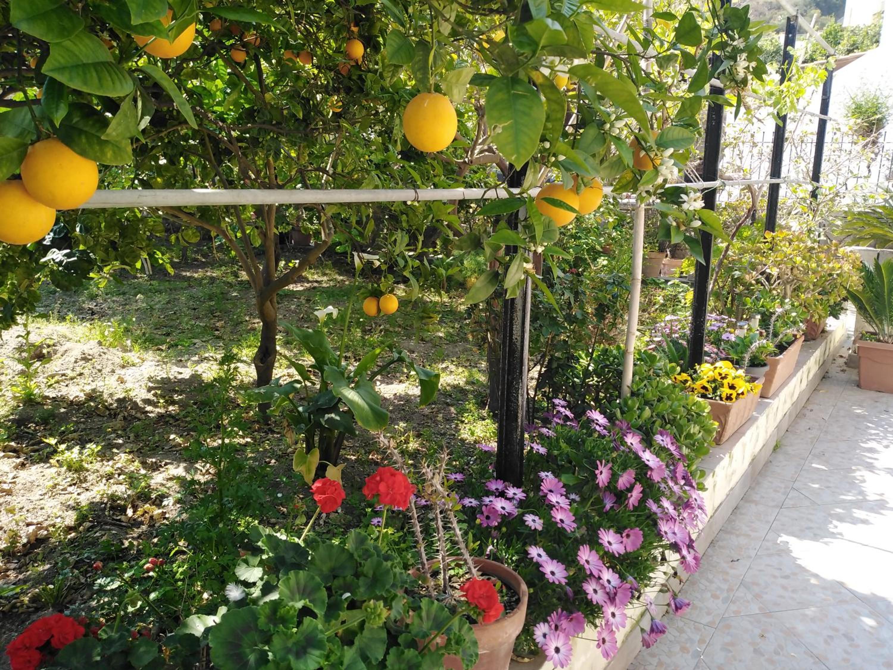 Apartment with Garden View - Photo 6