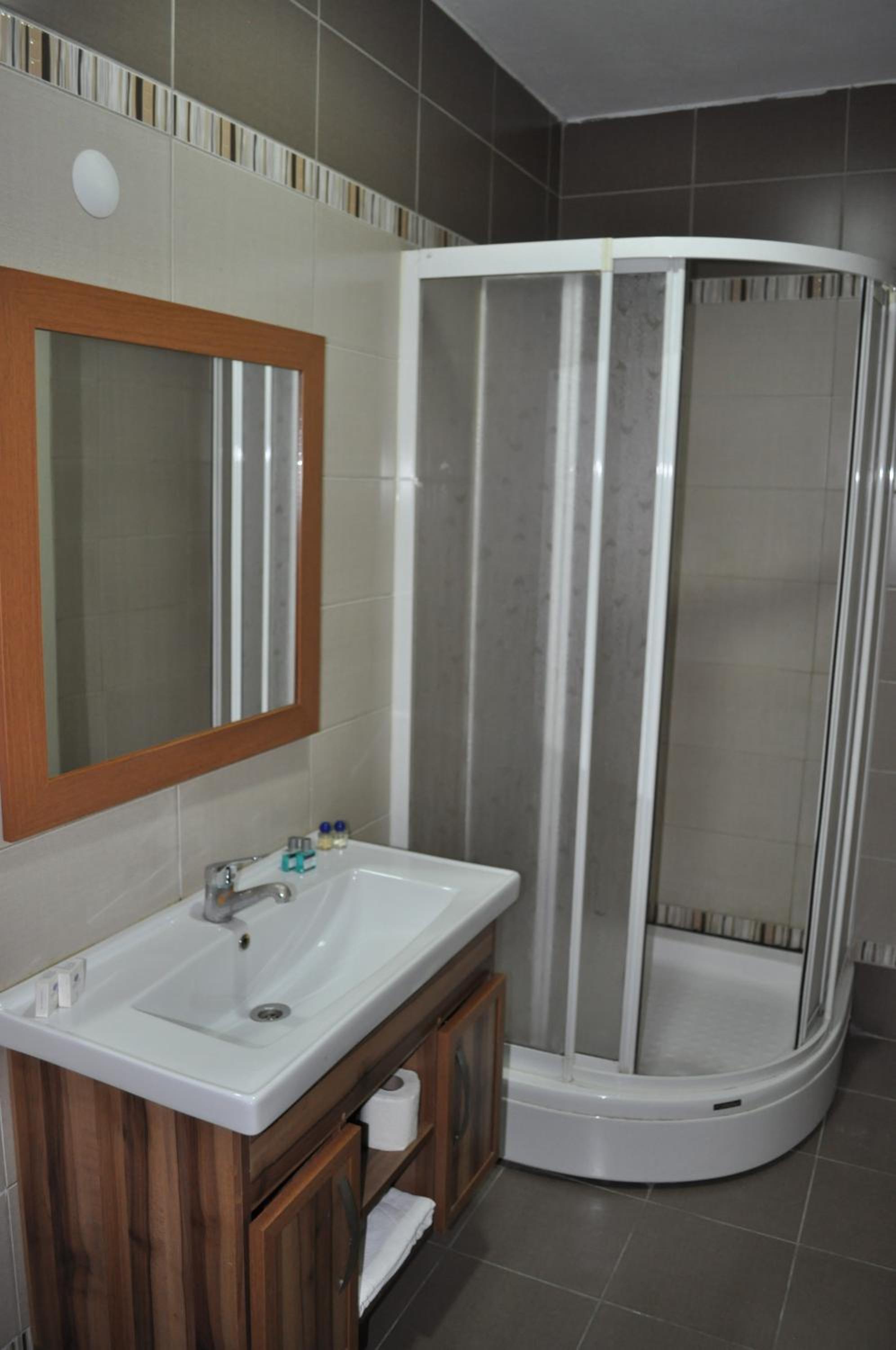 Large Single Room photo 3