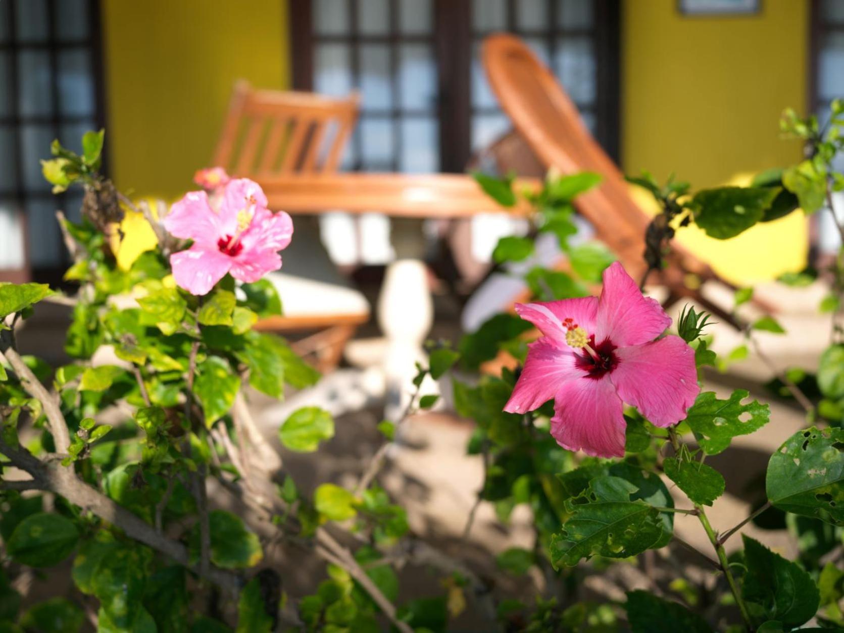 Deluxe Double Room with Balcony and Sea View - Photo 9