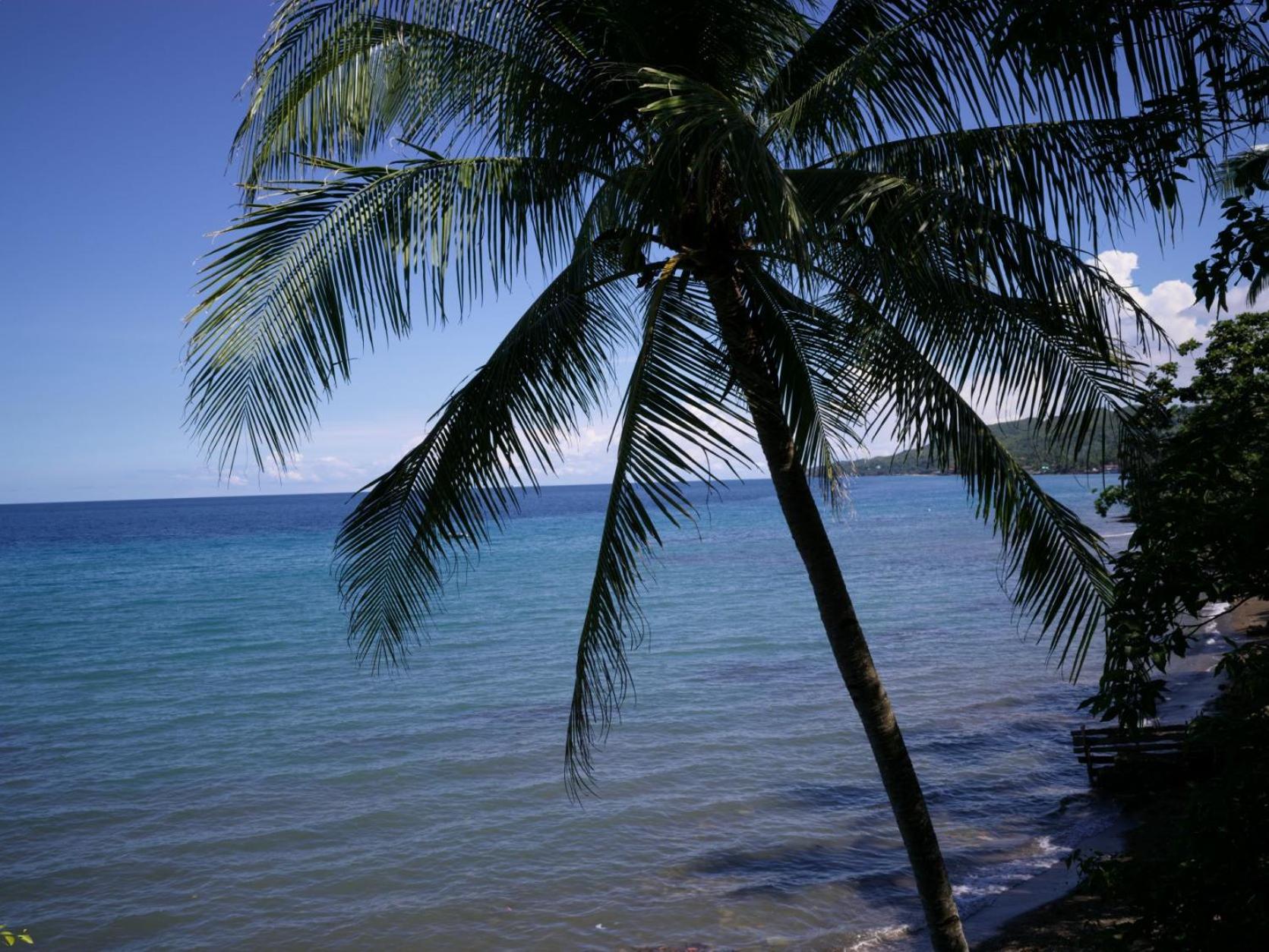Deluxe Double Room with Balcony and Sea View - Photo 8
