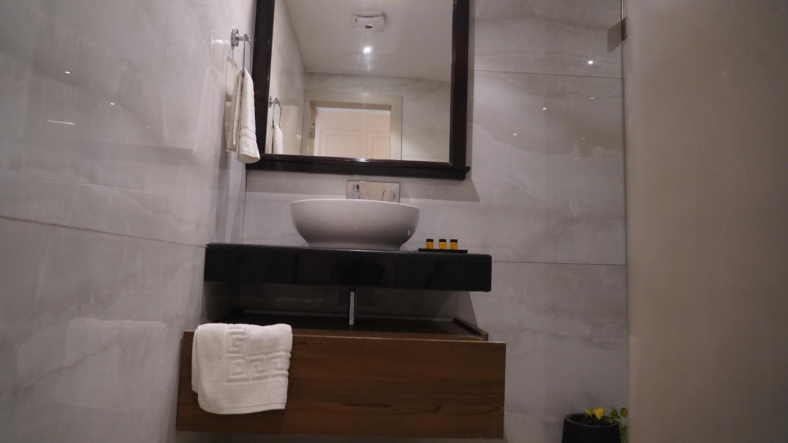 Deluxe Room - Photo 6