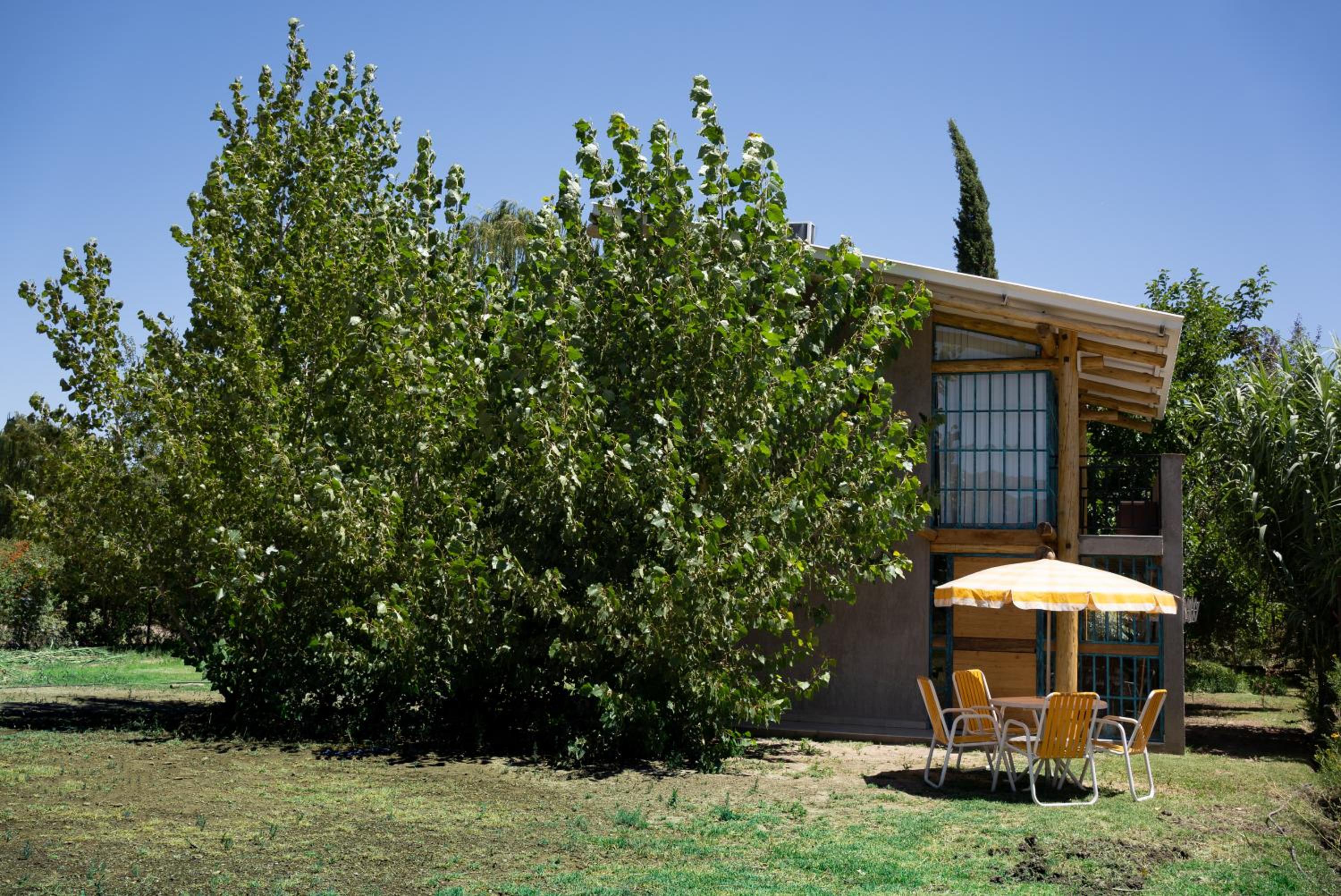 One-Bedroom Chalet photo 2