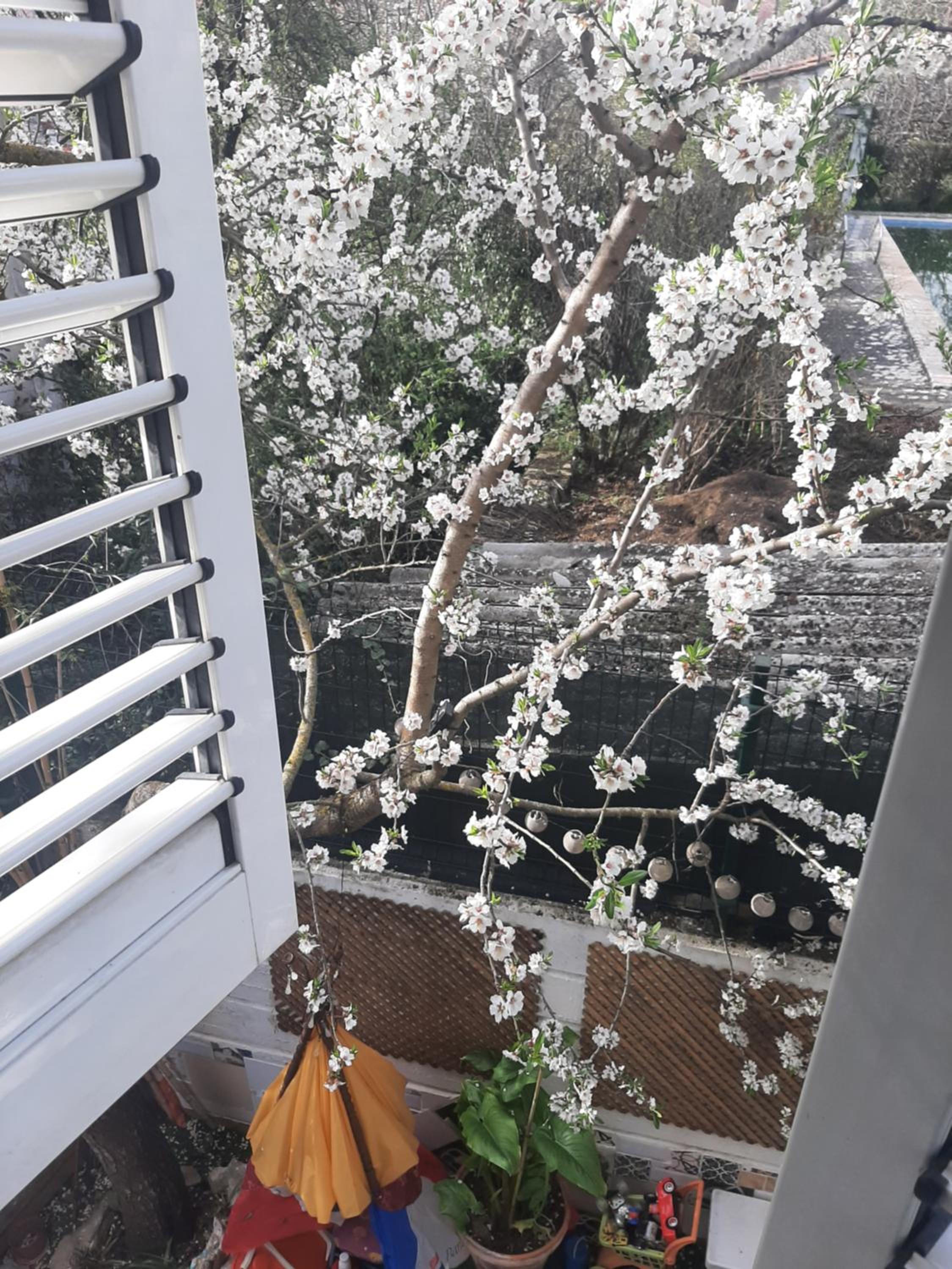 Duplex Apartment - Photo 6