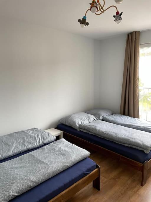 Two-Bedroom Apartment photo 3