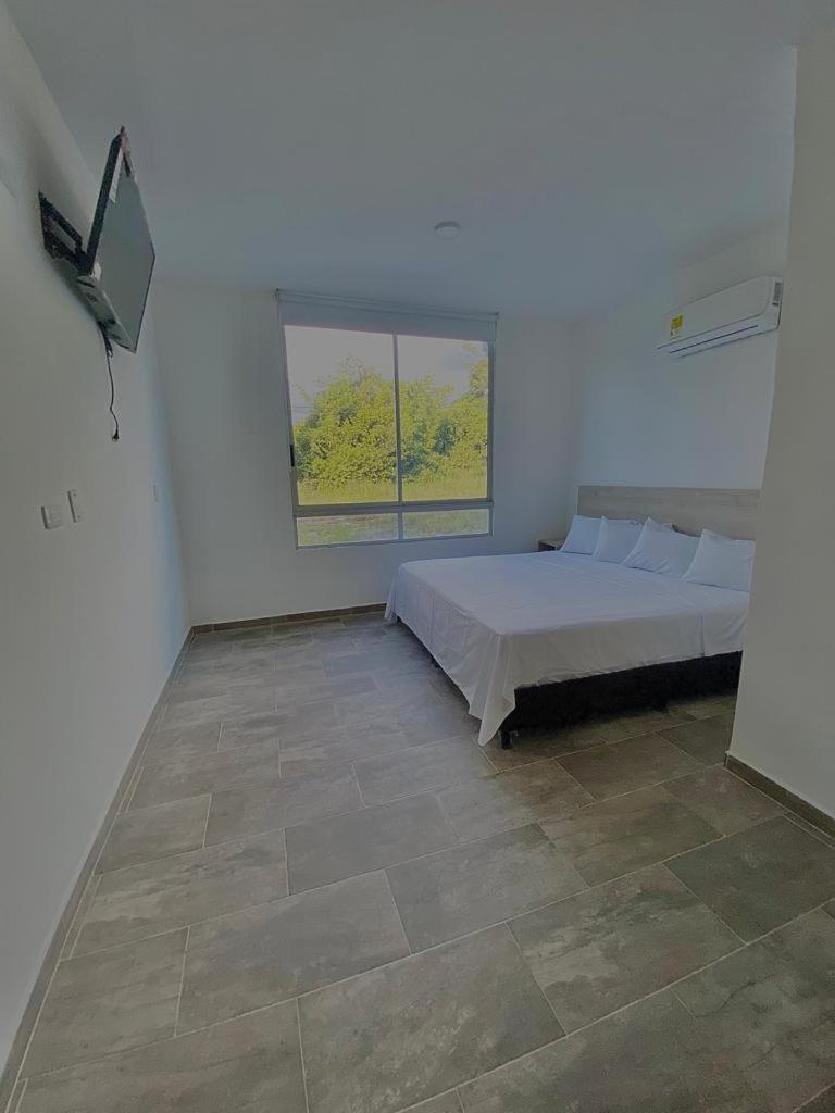 King Room photo 1