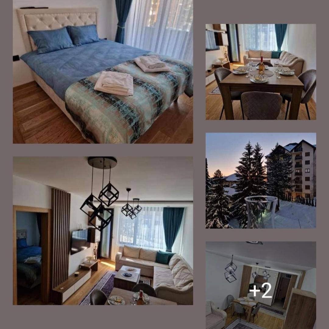 One-Bedroom Apartment photo 2