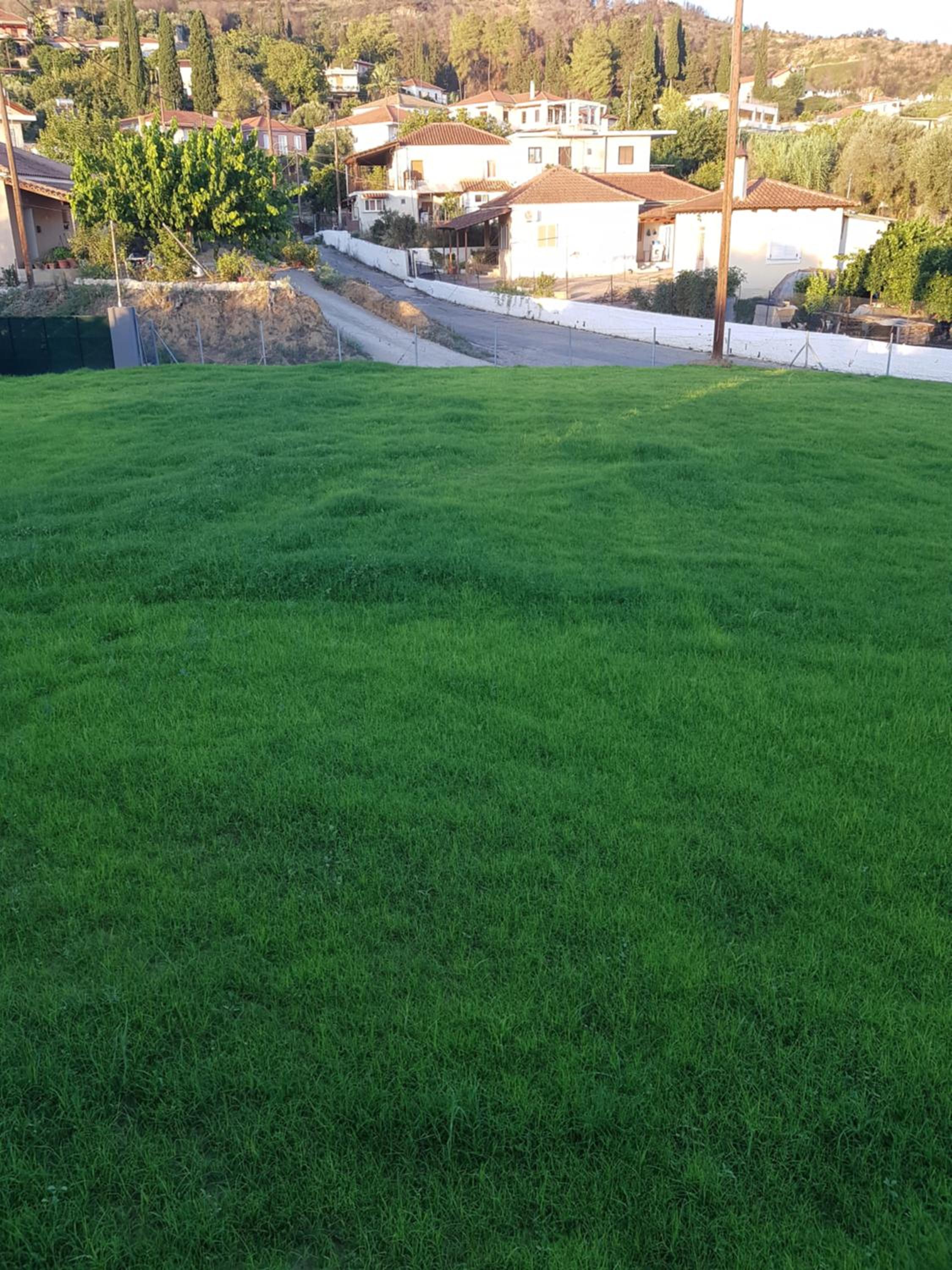 Villa - Photo 4
